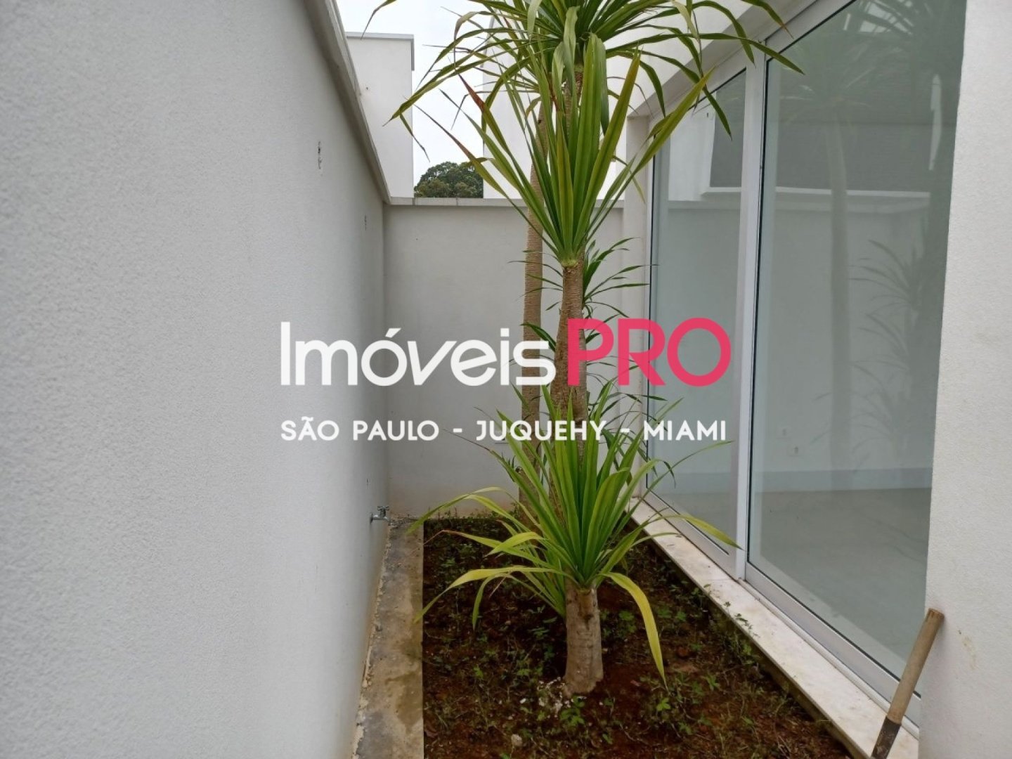 Foto :: IP40230