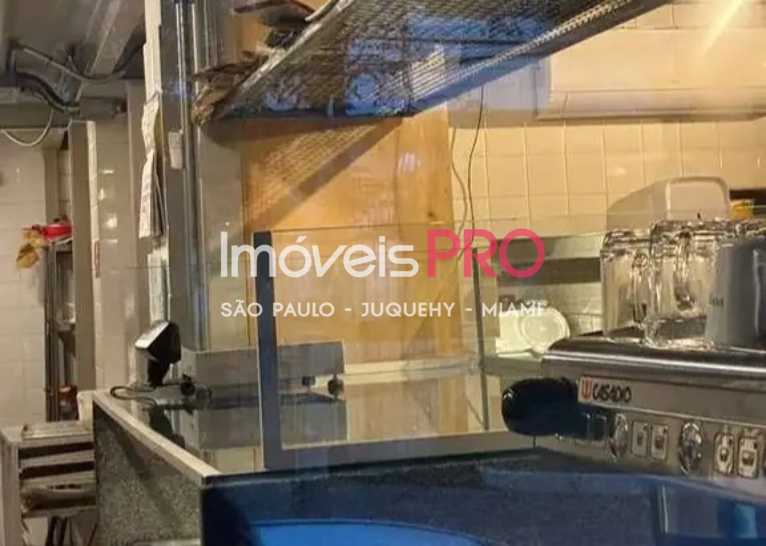 Foto :: IP40235