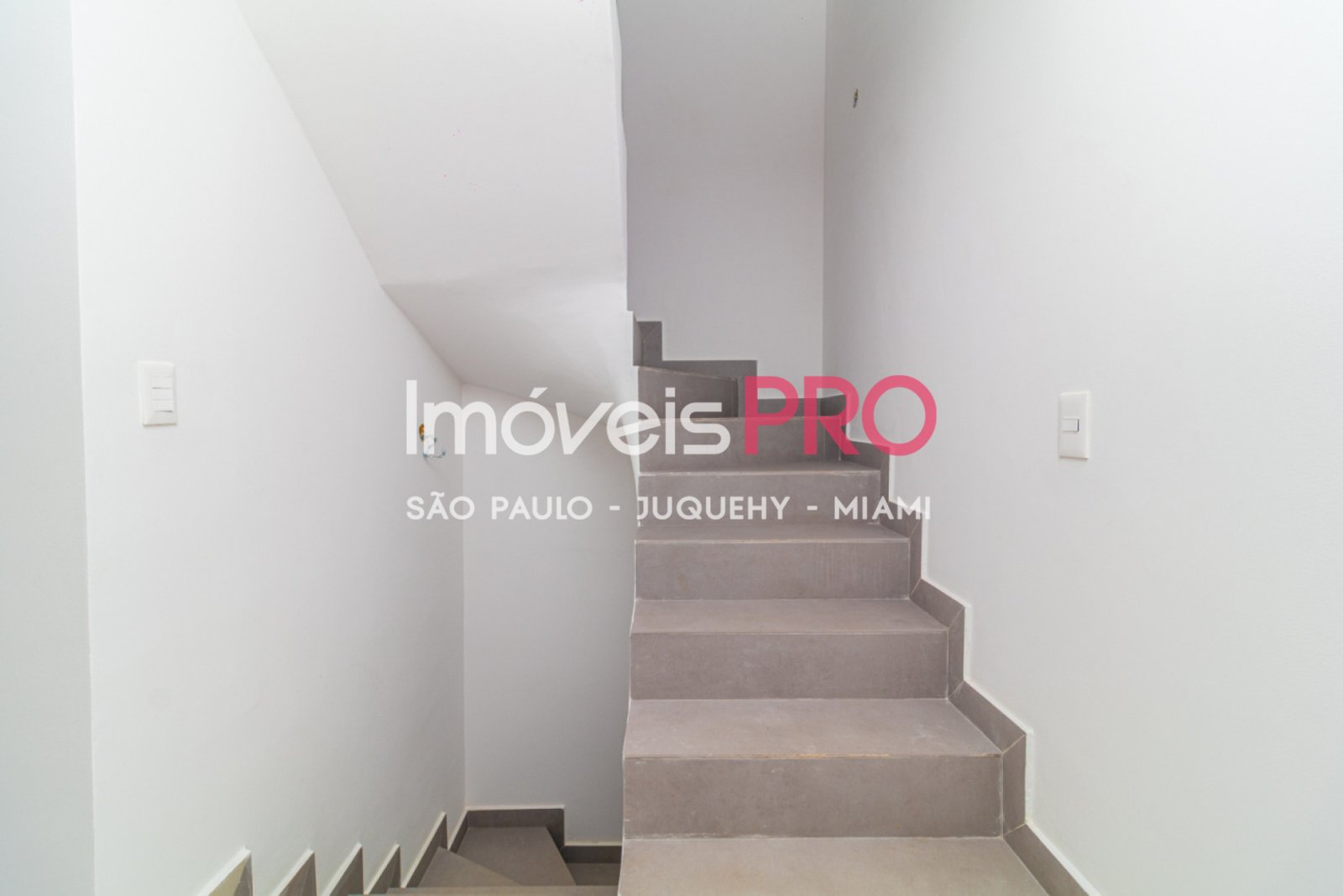 Foto :: IP40241