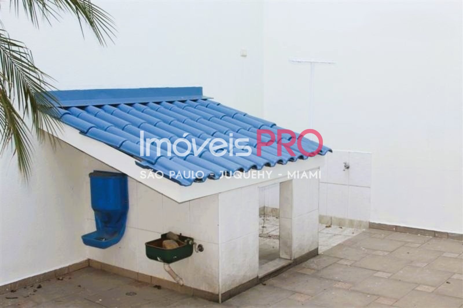 Foto :: IP40242