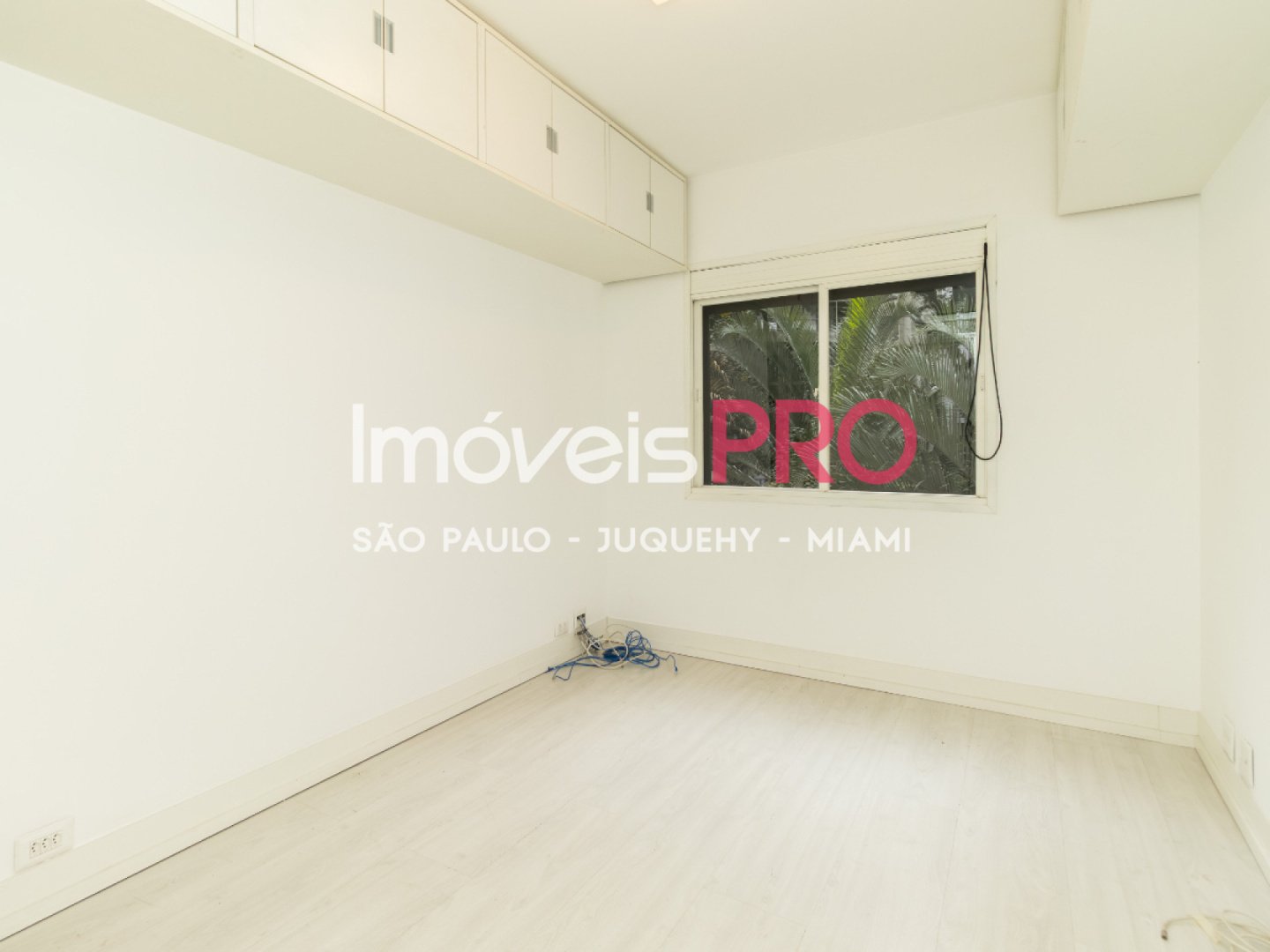 Foto :: IP40246