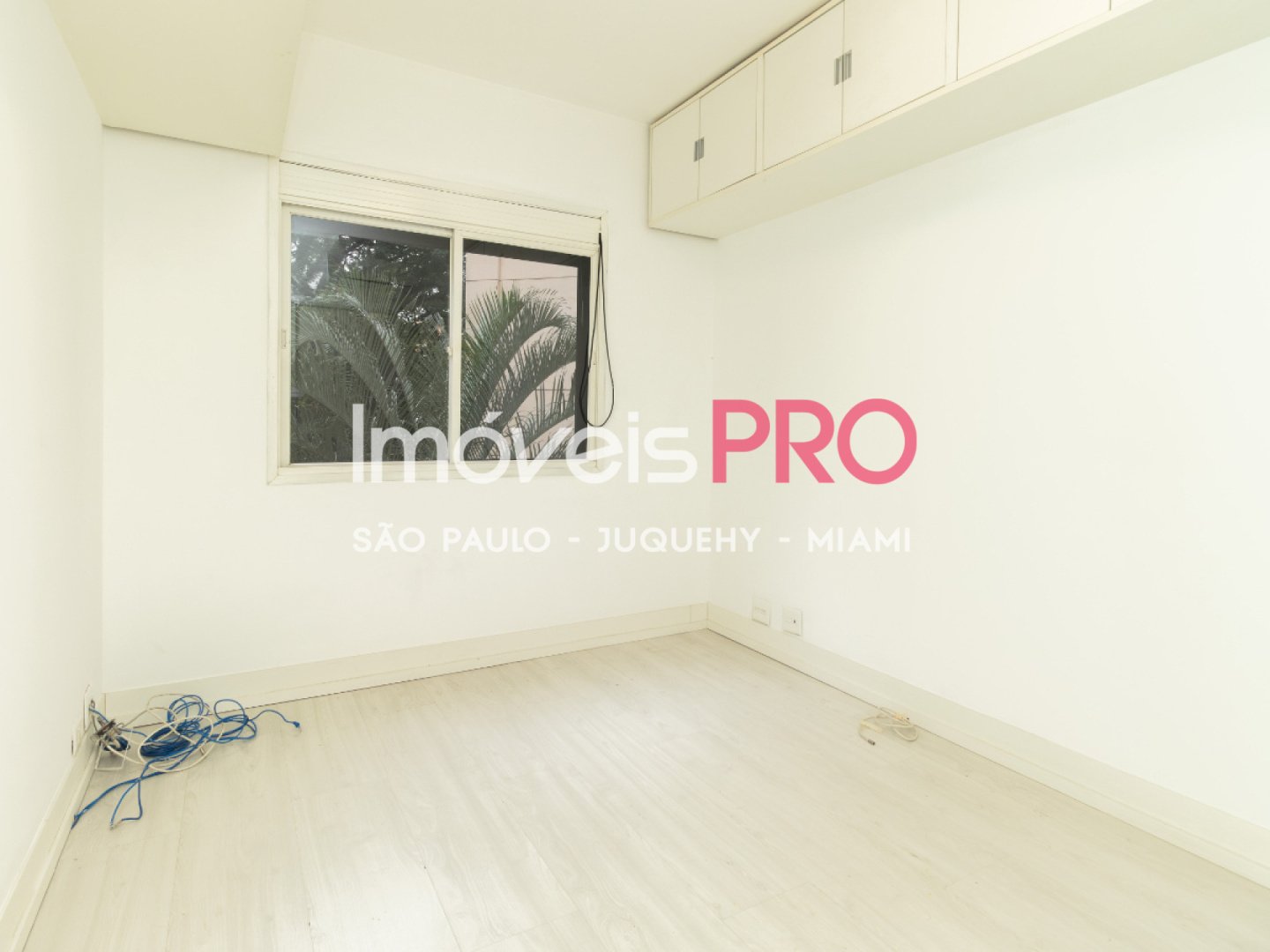 Foto :: IP40246