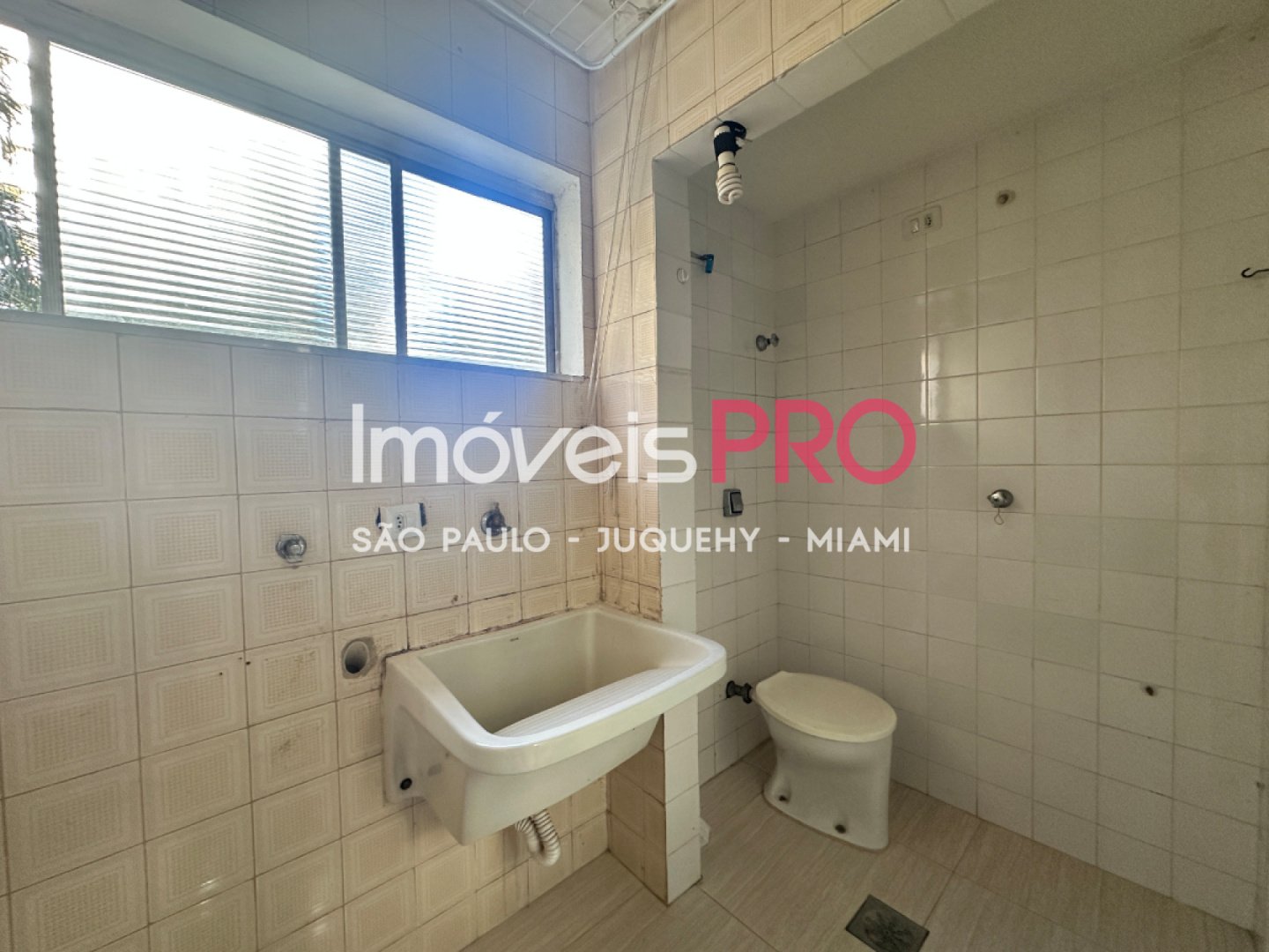 Foto :: IP40249