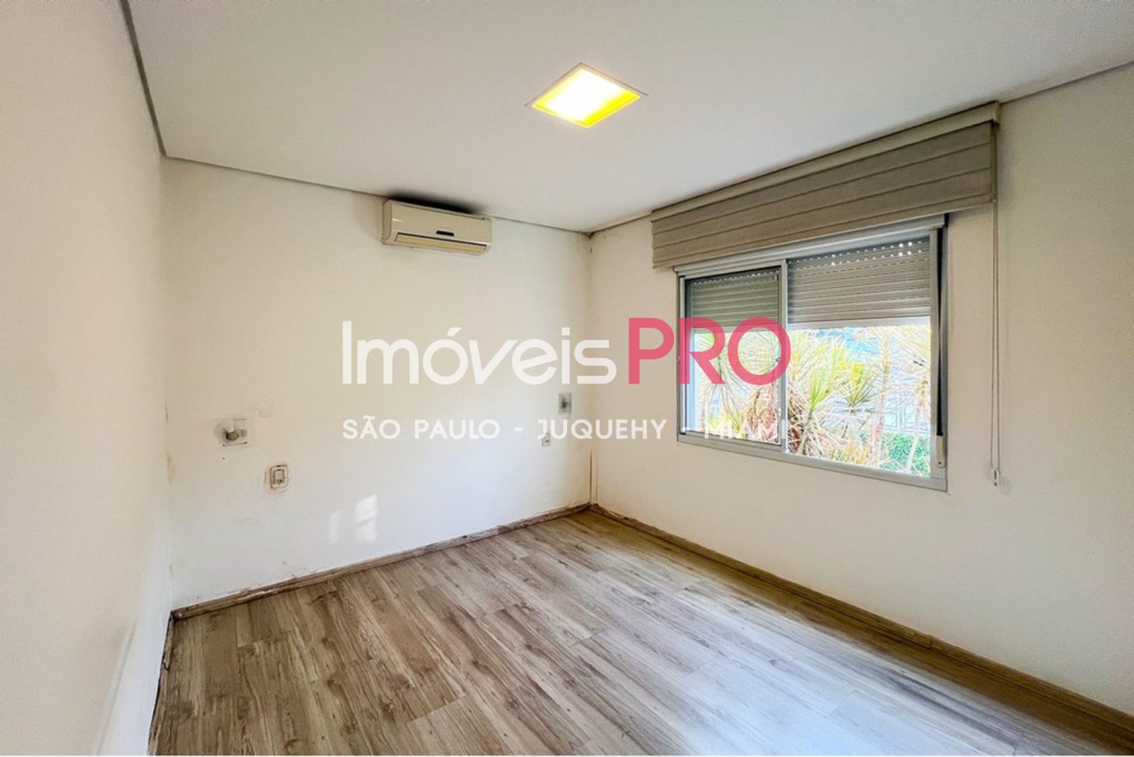 Foto :: IP40258