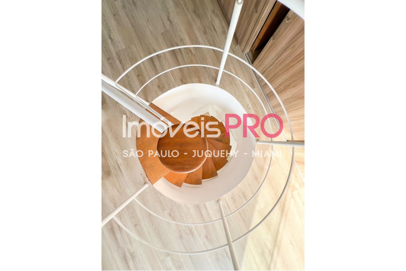 Foto :: IP40258