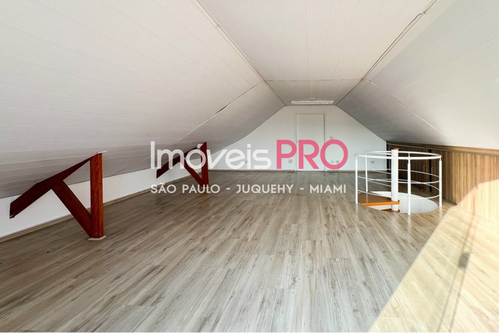 Foto :: IP40258