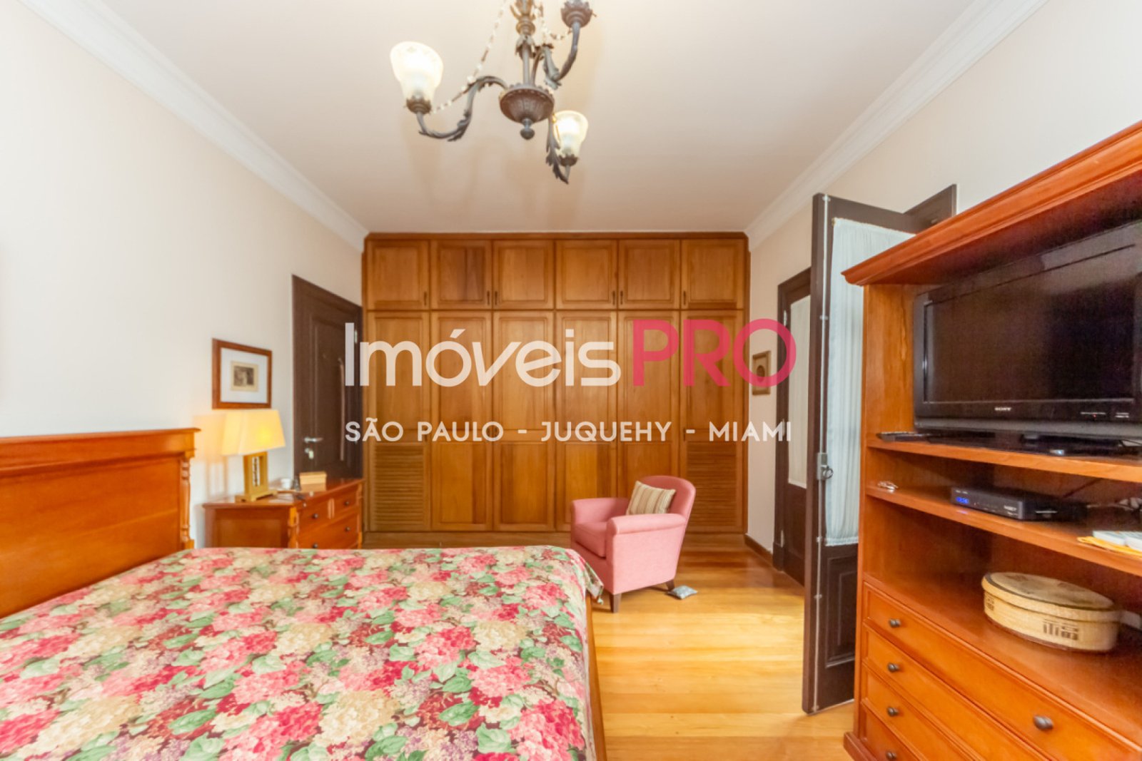 Foto :: IP40260