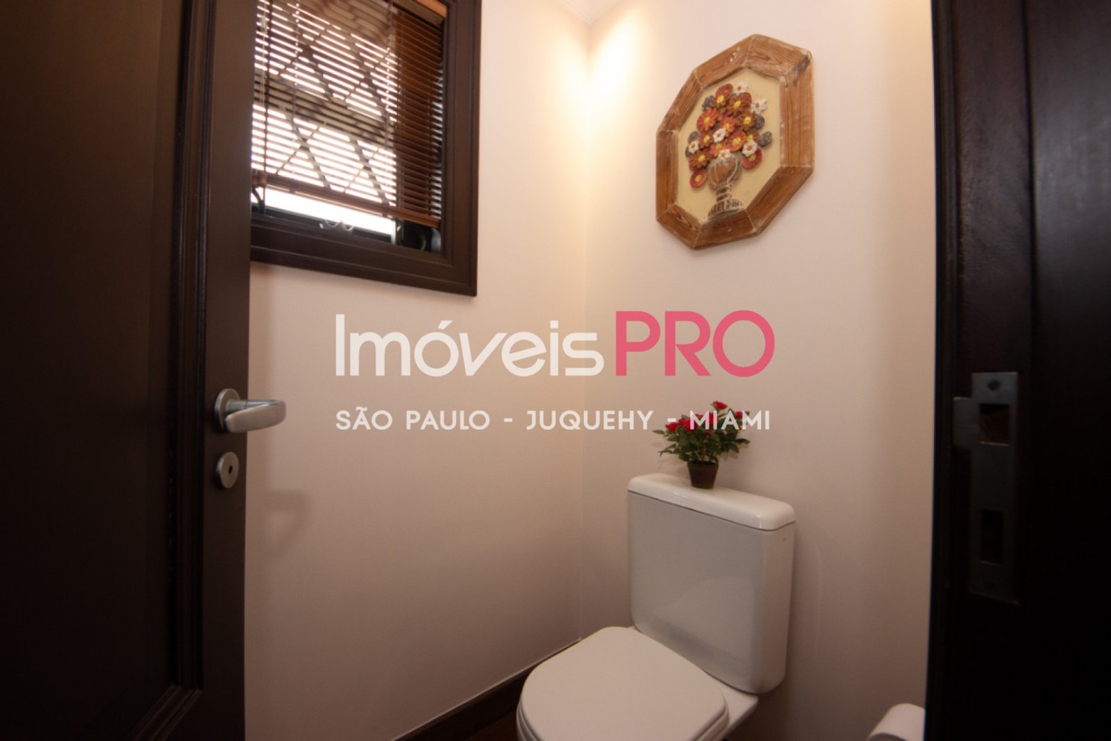 Foto :: IP40260