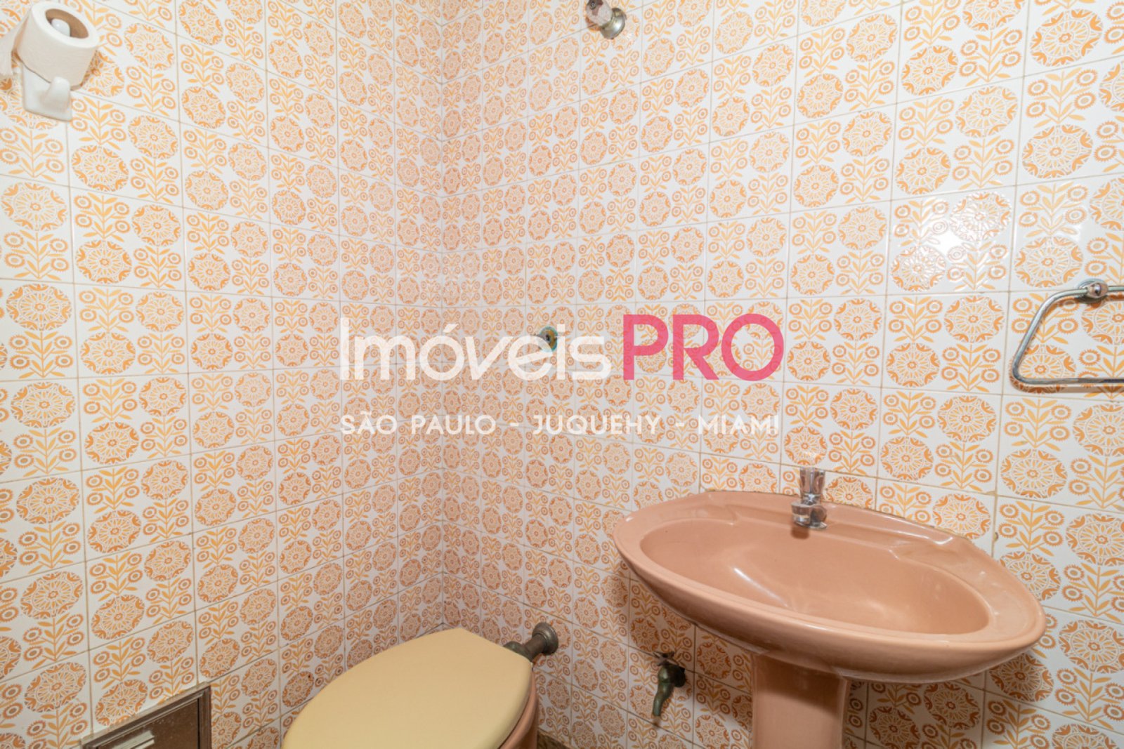 Foto :: IP40261