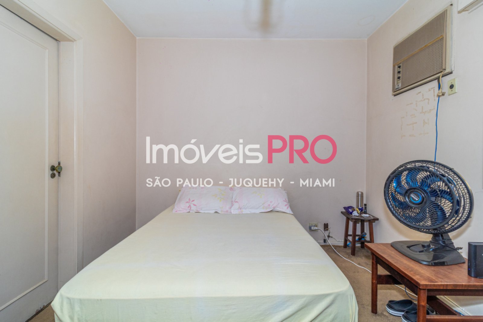 Foto :: IP40261