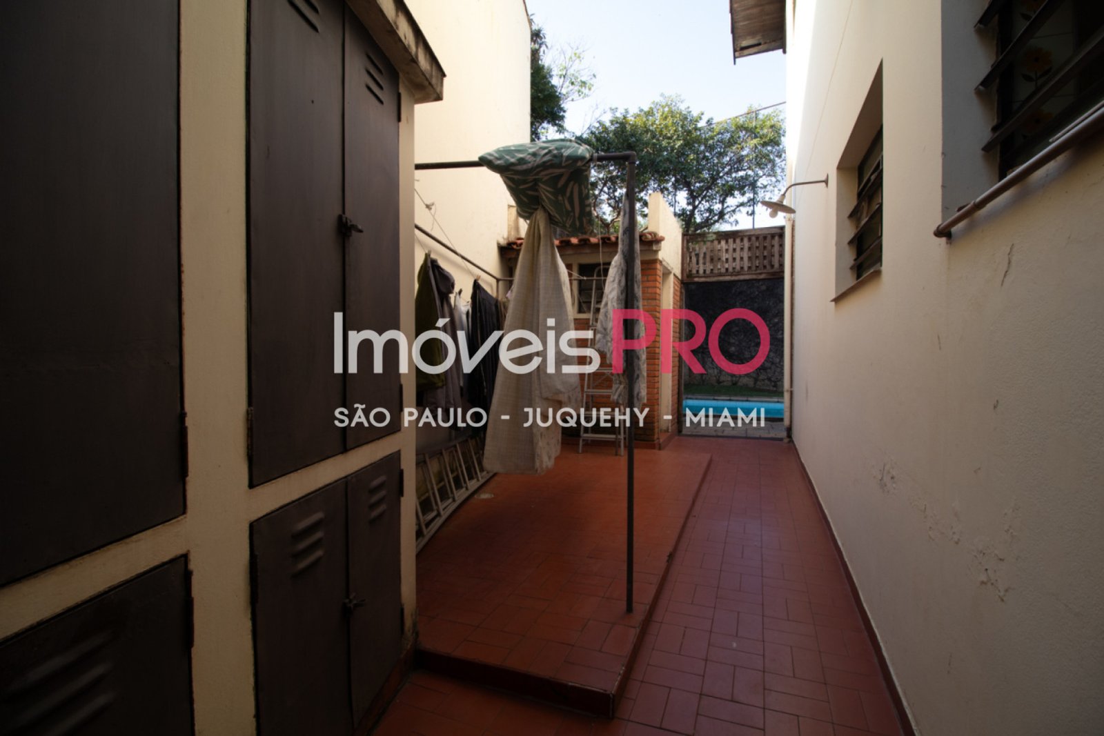 Foto :: IP40261