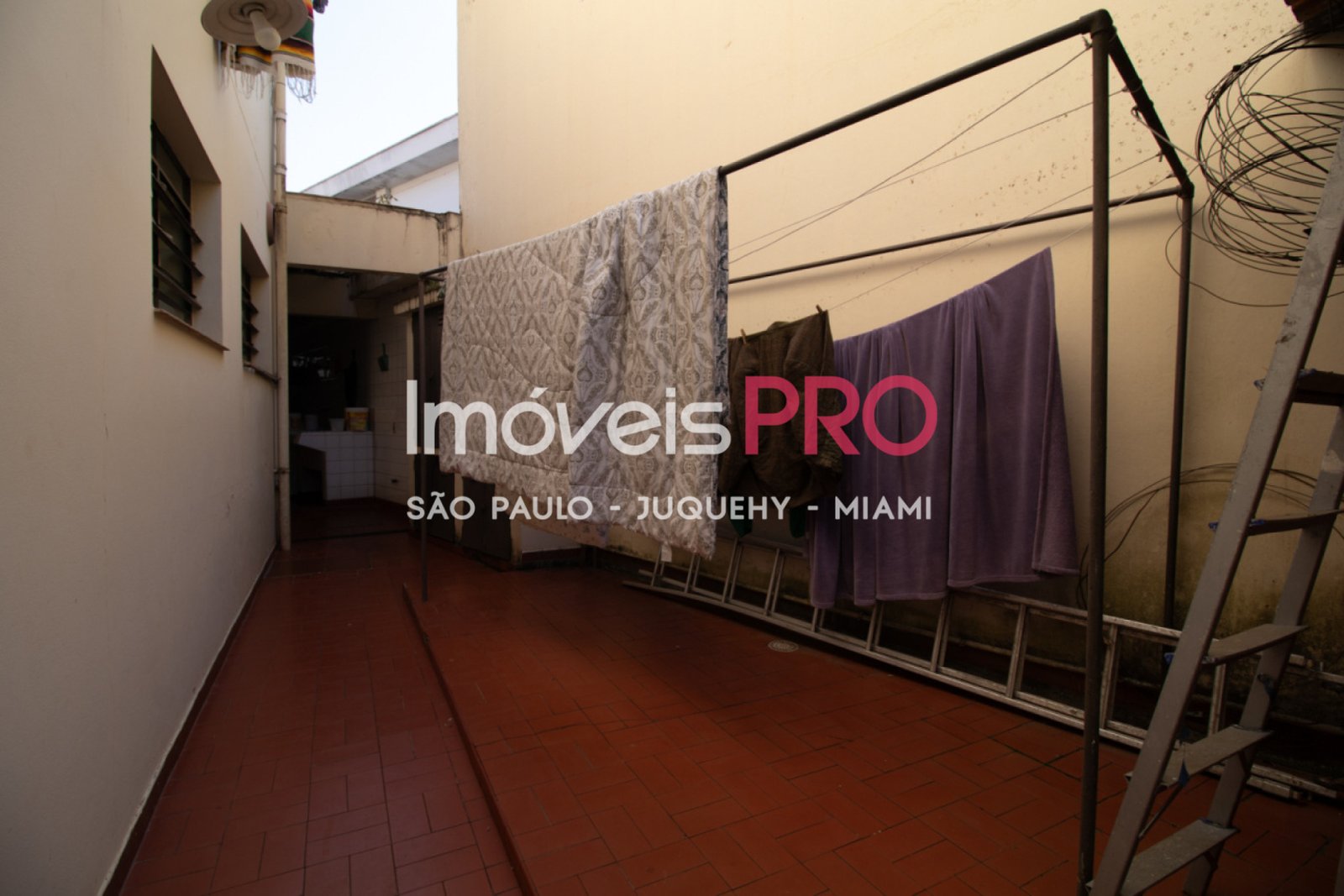 Foto :: IP40261
