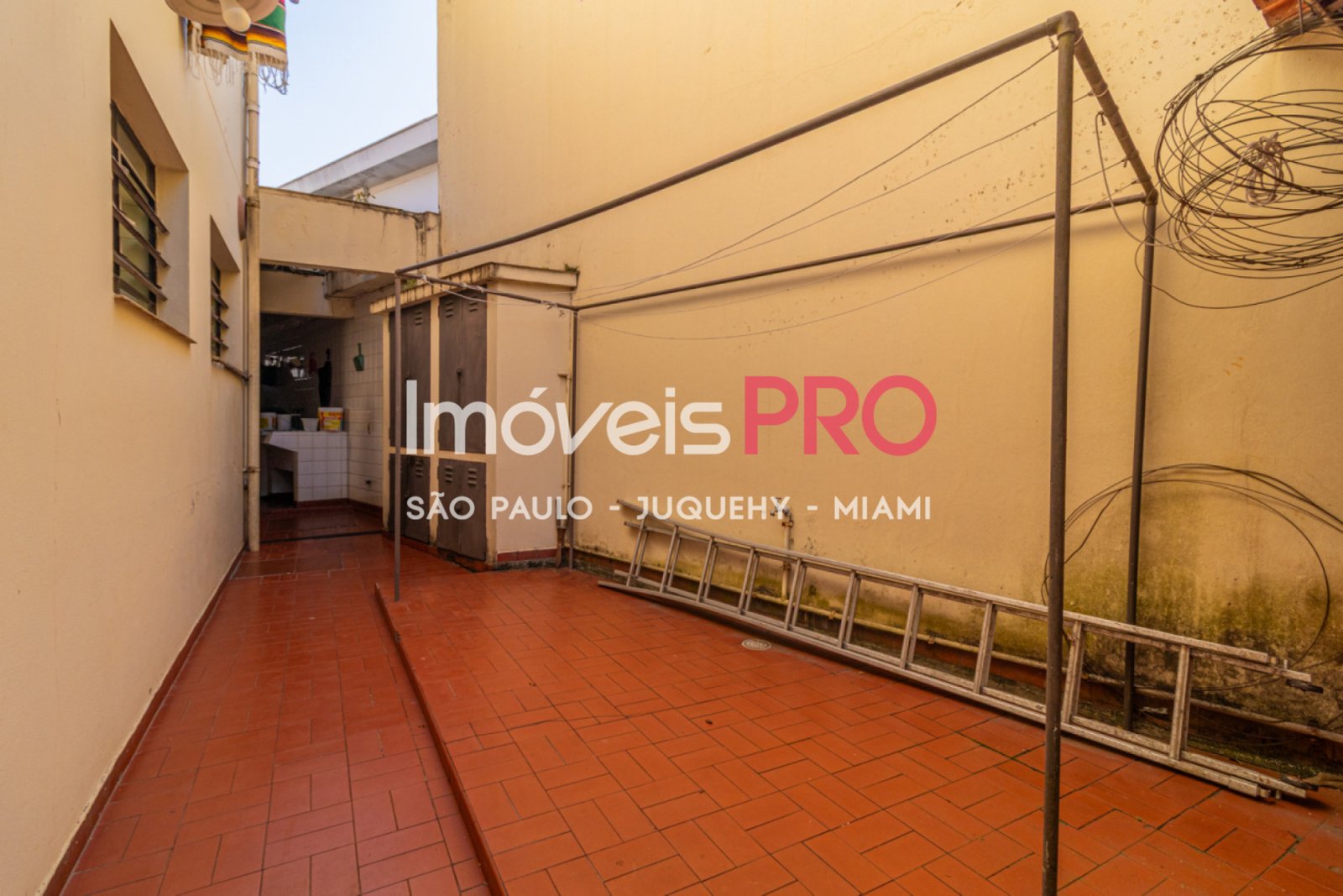 Foto :: IP40261