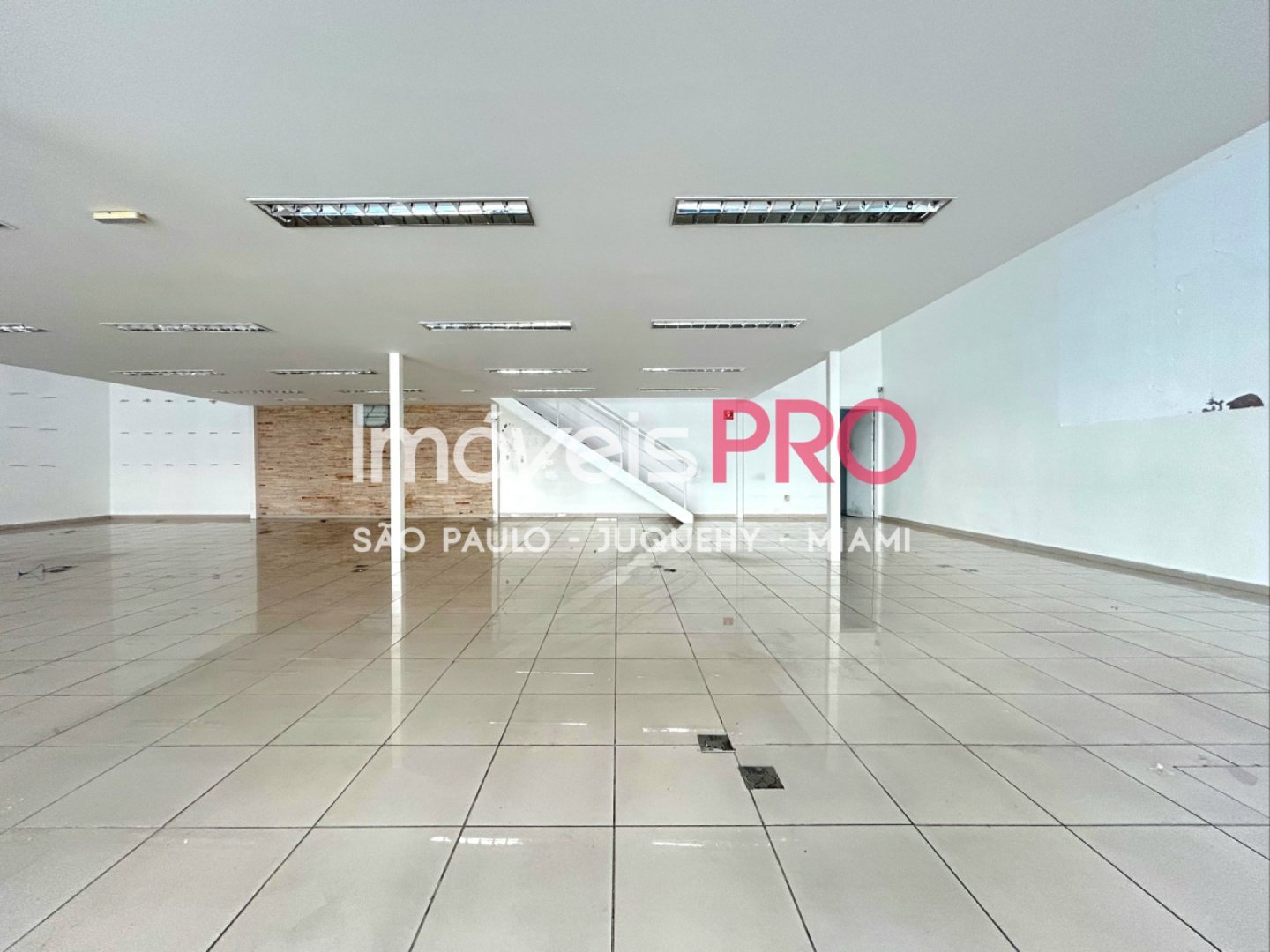 Foto :: IP40272