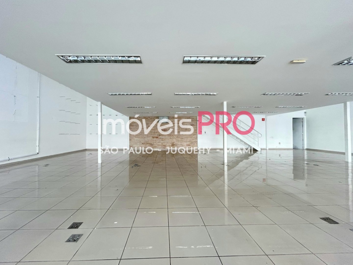 Foto :: IP40272