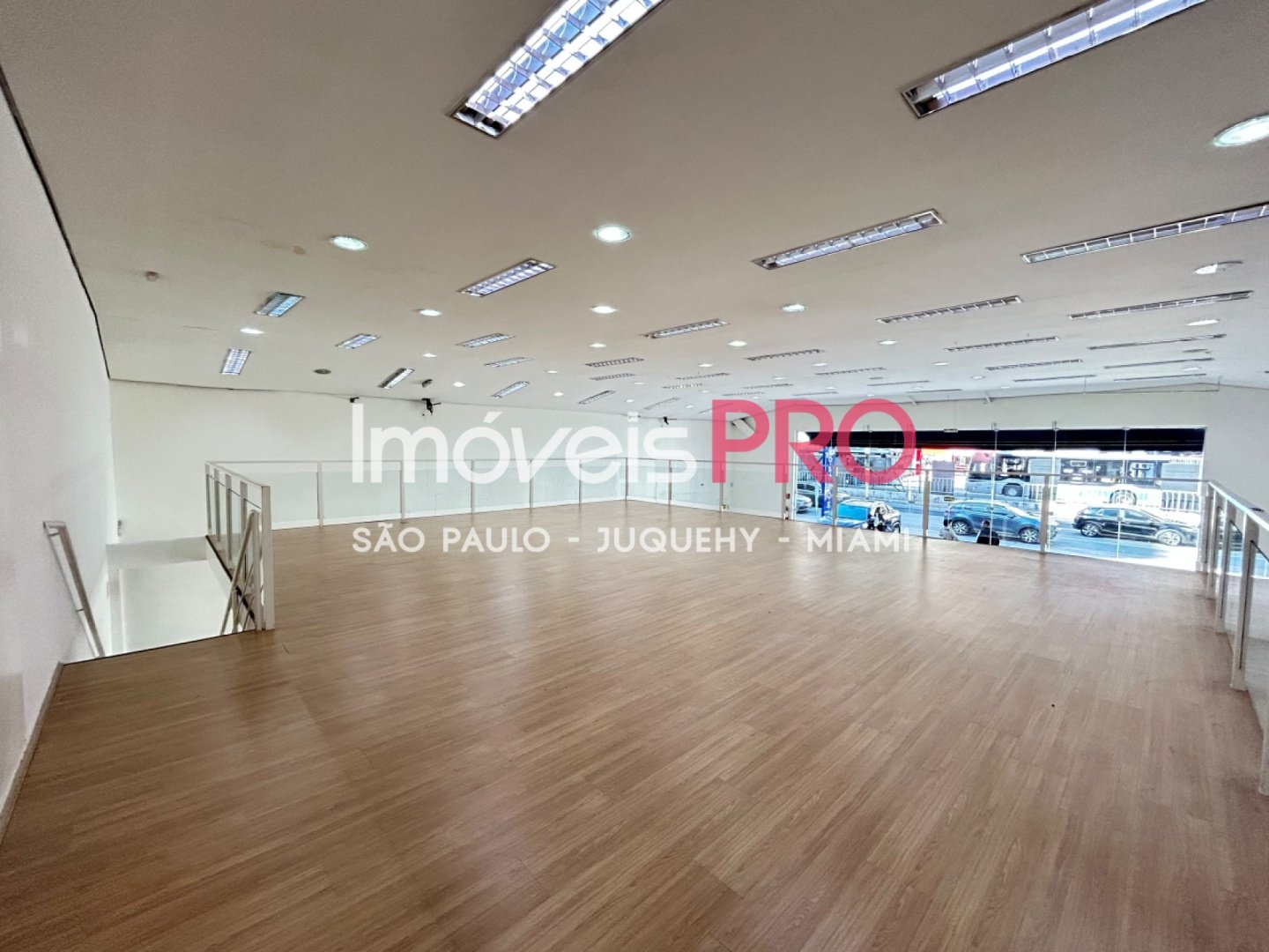 Foto :: IP40272
