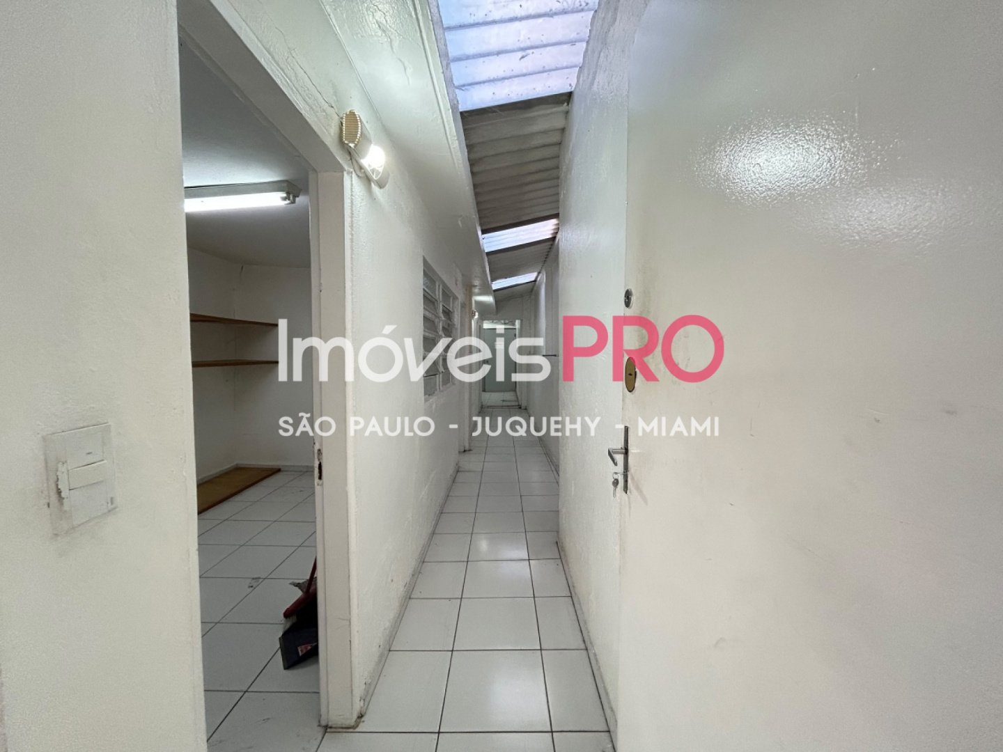 Foto :: IP40272