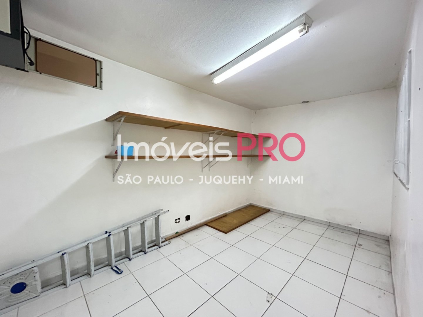Foto :: IP40272
