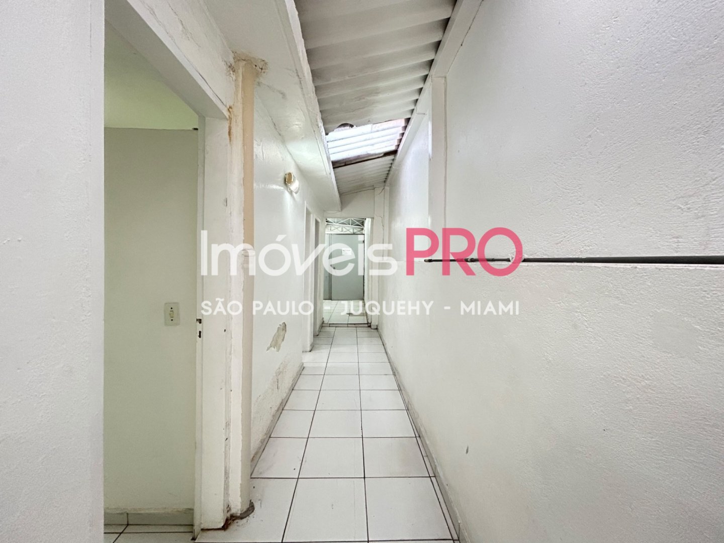 Foto :: IP40272