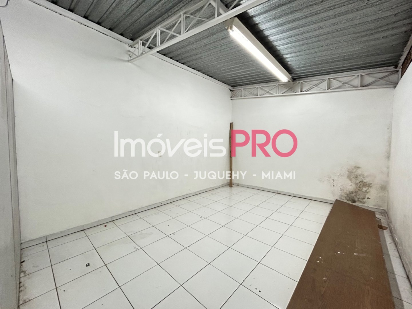 Foto :: IP40272