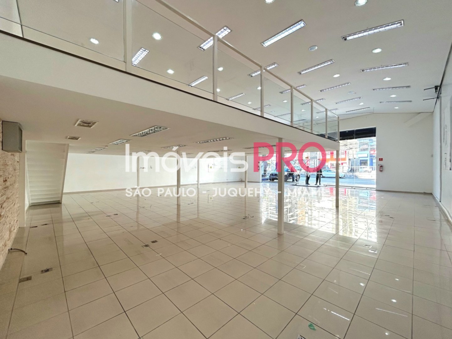Foto :: IP40272