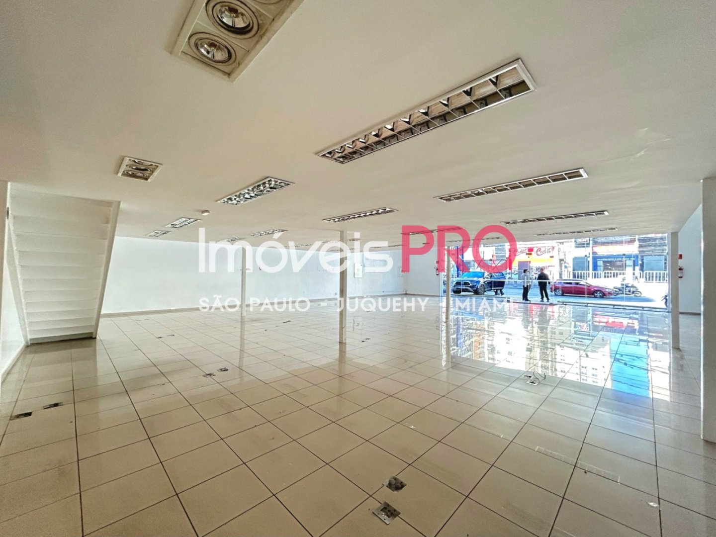 Foto :: IP40272