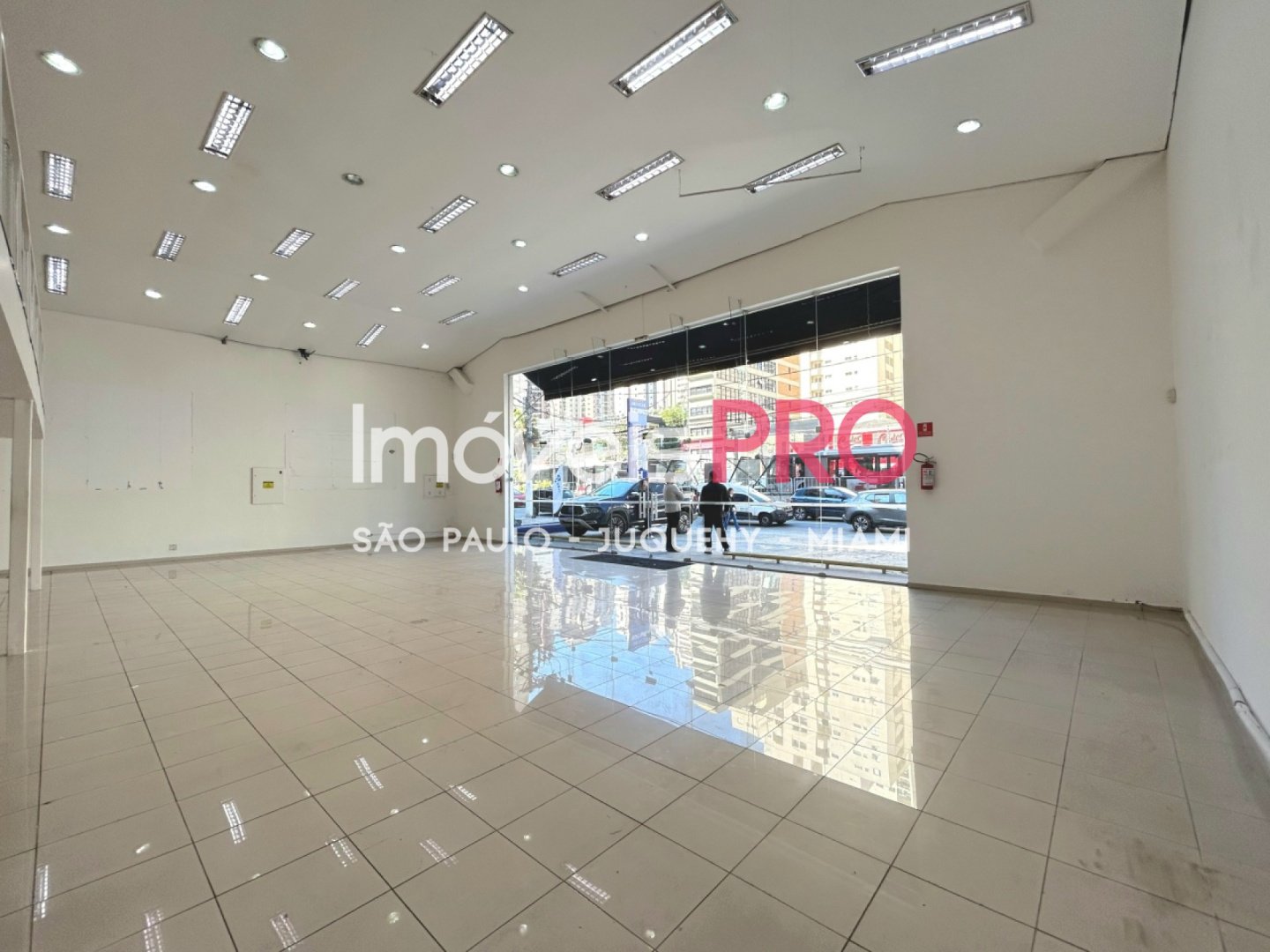 Foto :: IP40272