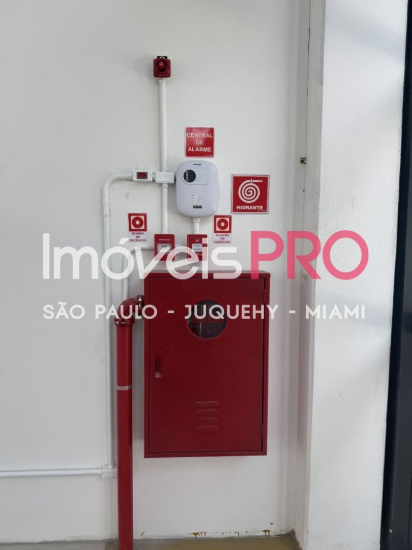 Foto :: IP40276