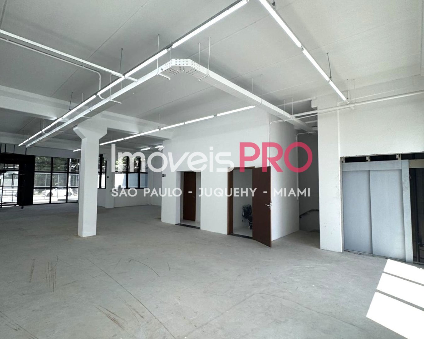 Foto :: IP40276