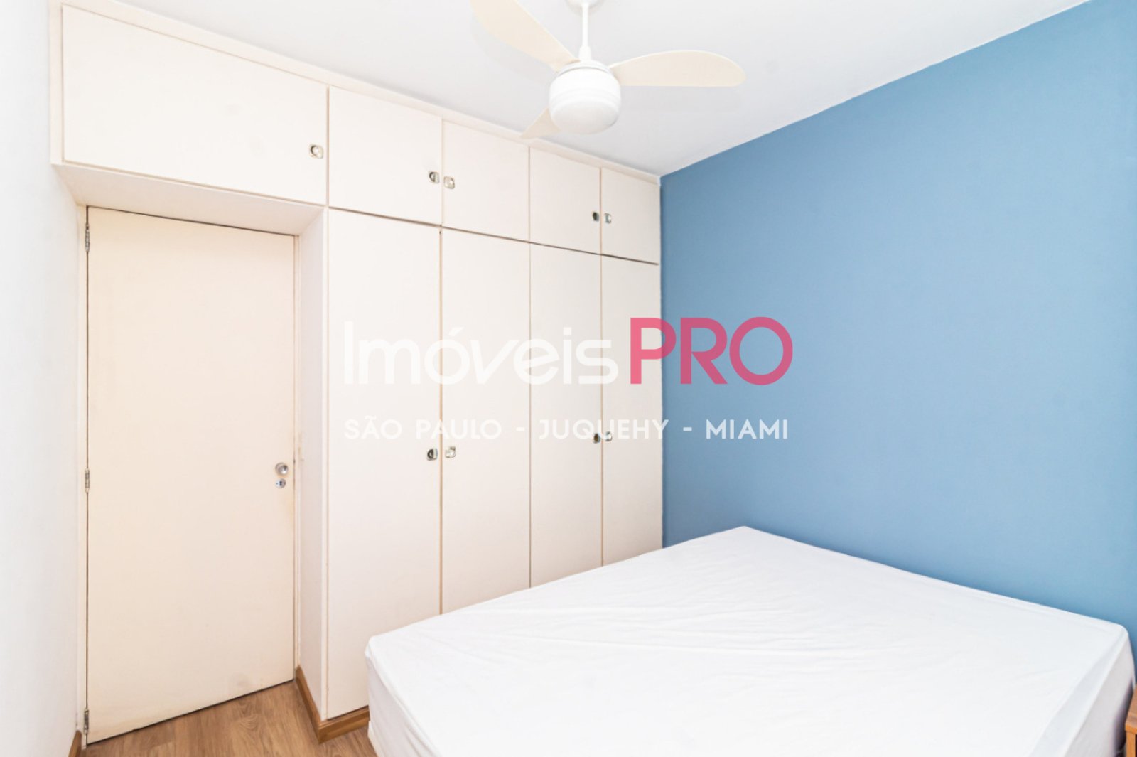 Foto :: IP40285