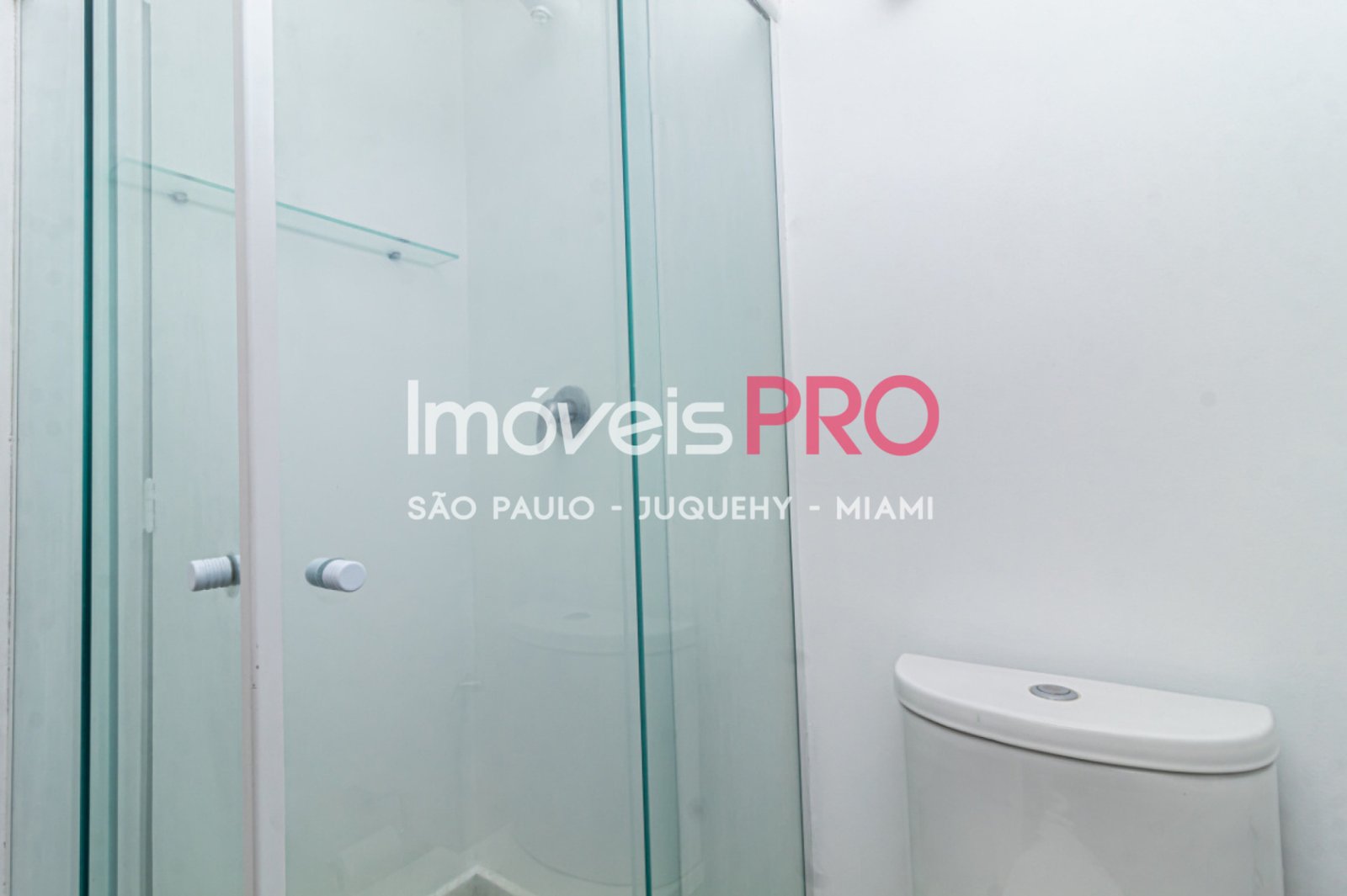 Foto :: IP40285