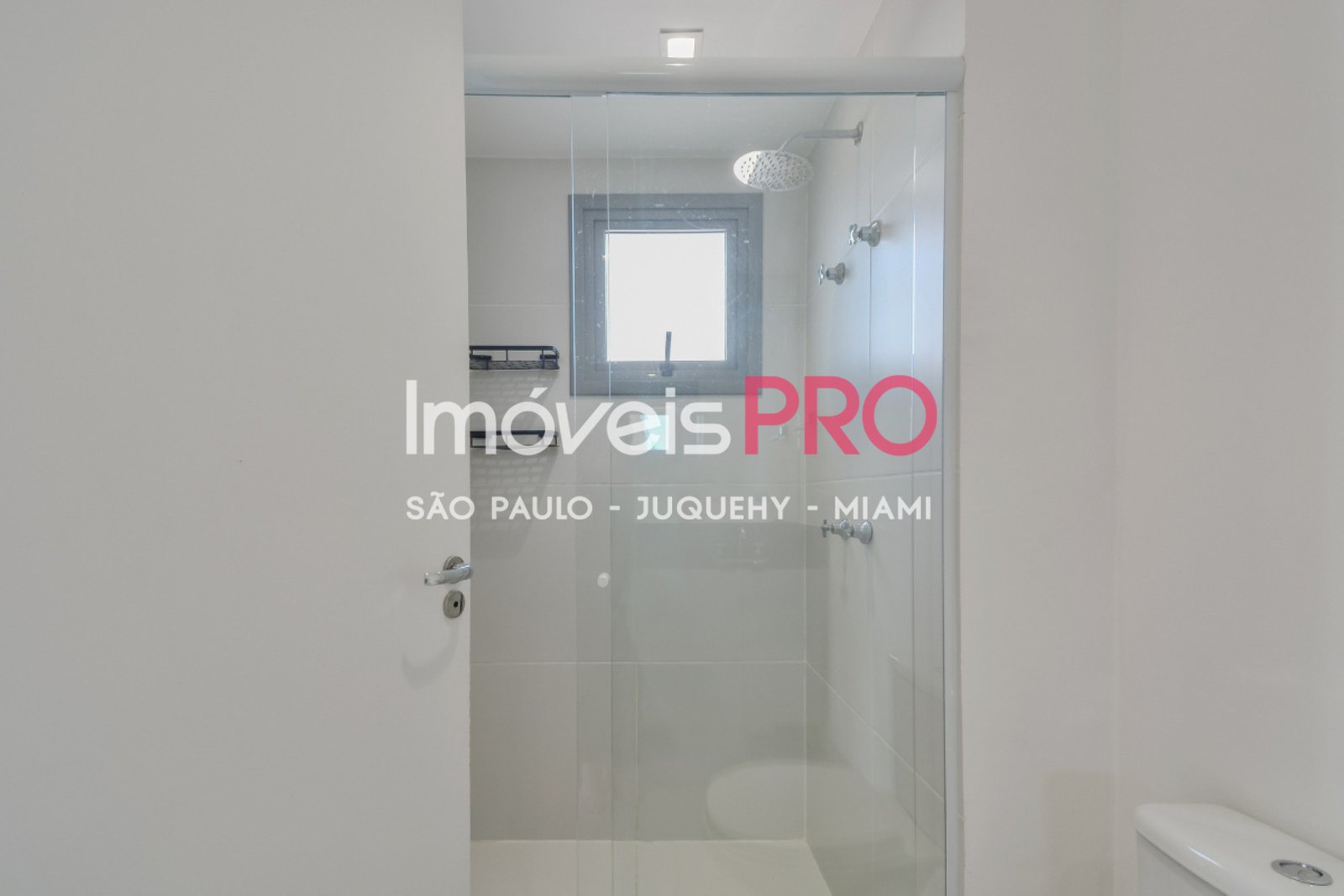 Foto :: IP40299