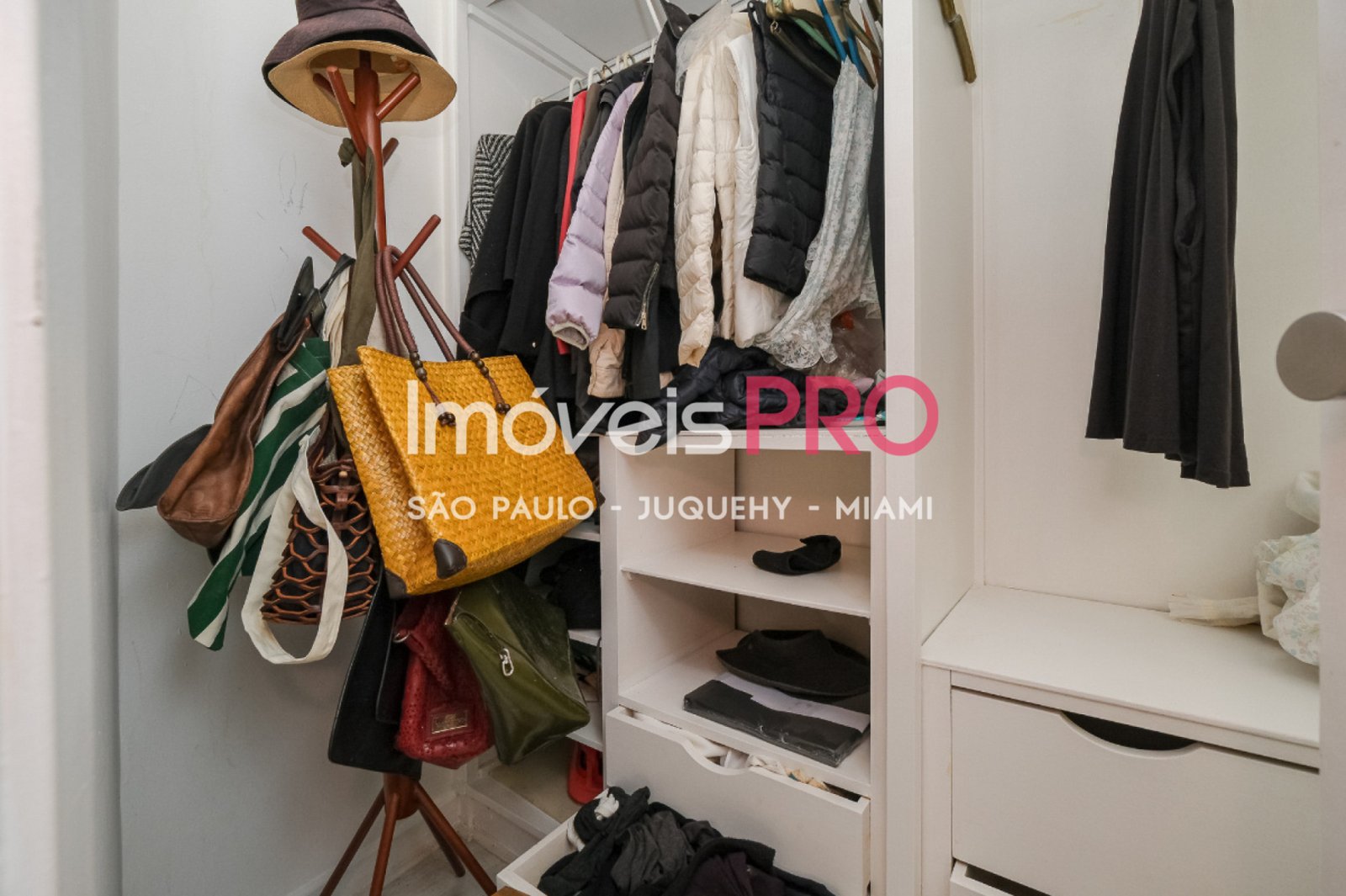 Foto :: IP40307