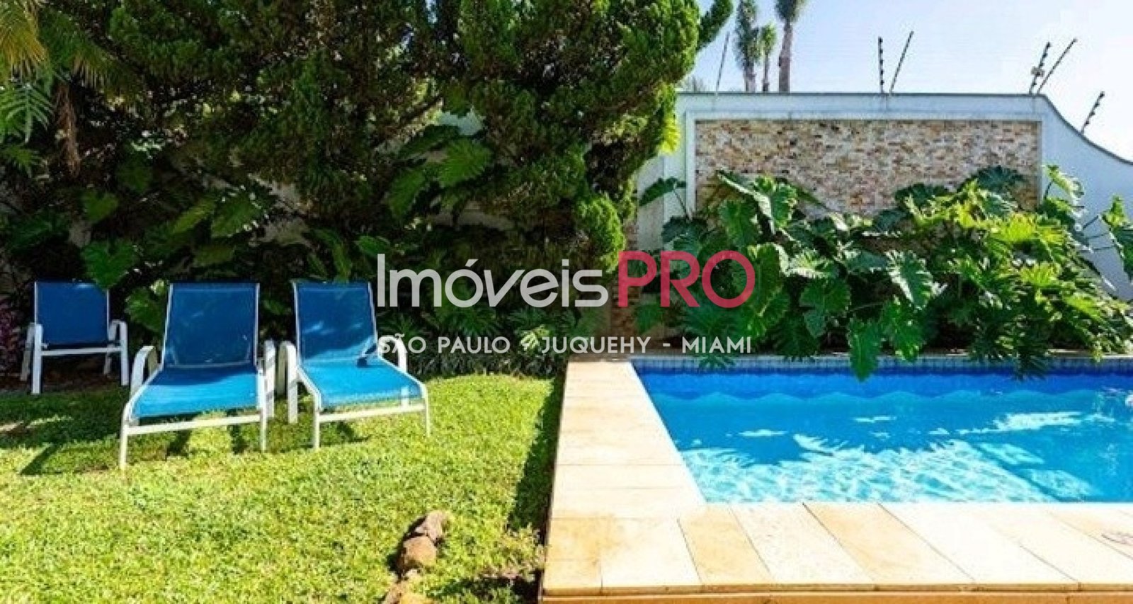 Foto :: IP40313