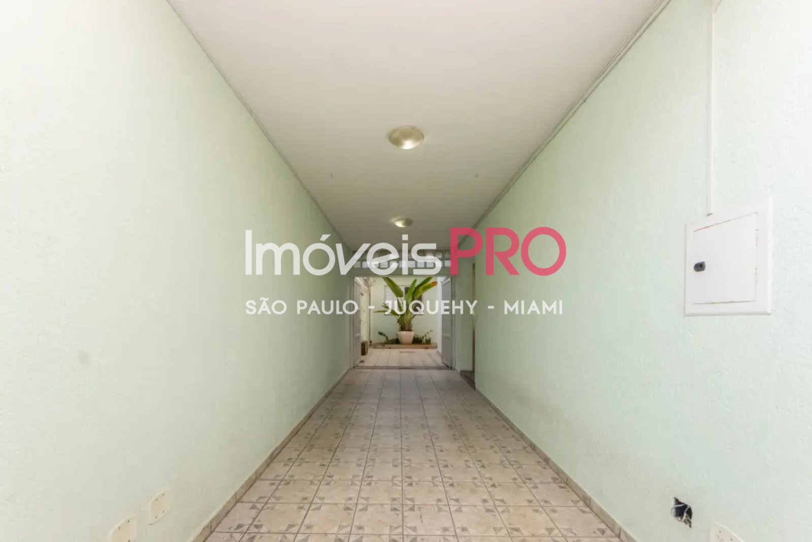 Foto :: IP40319