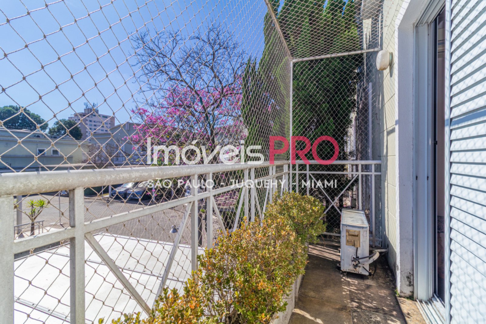 Foto :: IP40326