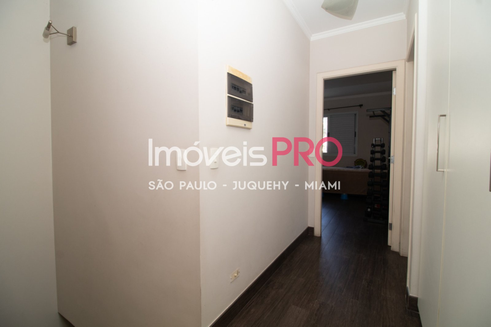 Foto :: IP40326