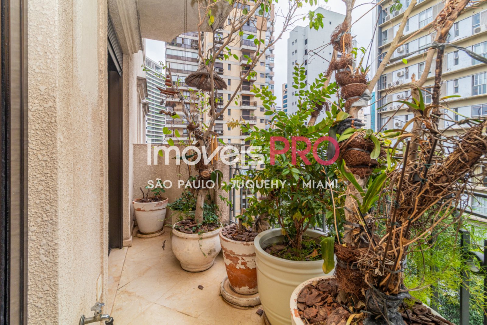 Foto :: https://assets.imoveispro.com.br/thumb/IP40331/apartamento-venda-moema_IP40331_23_1920x1080.jpg?
