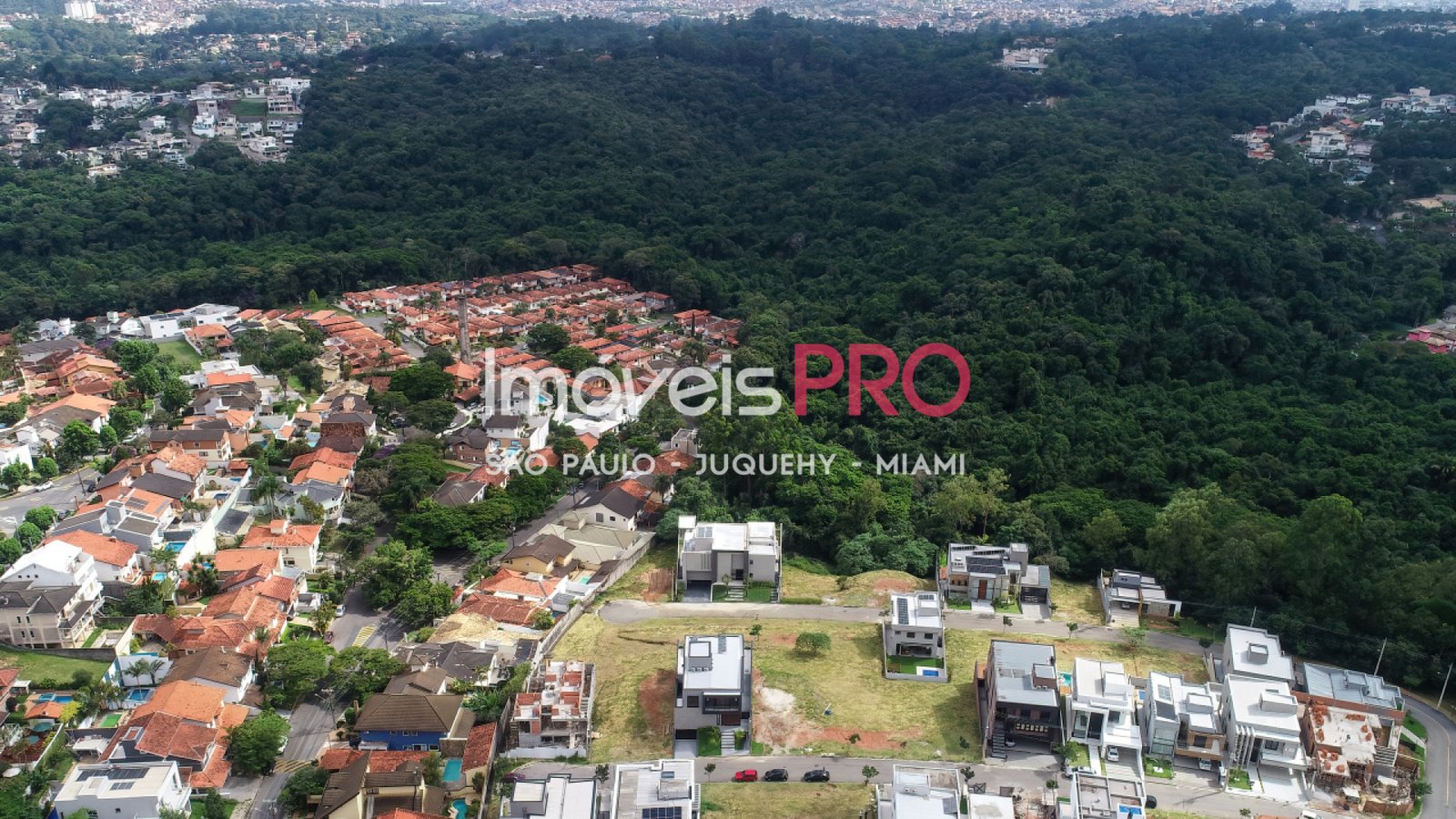 Foto :: IP40333