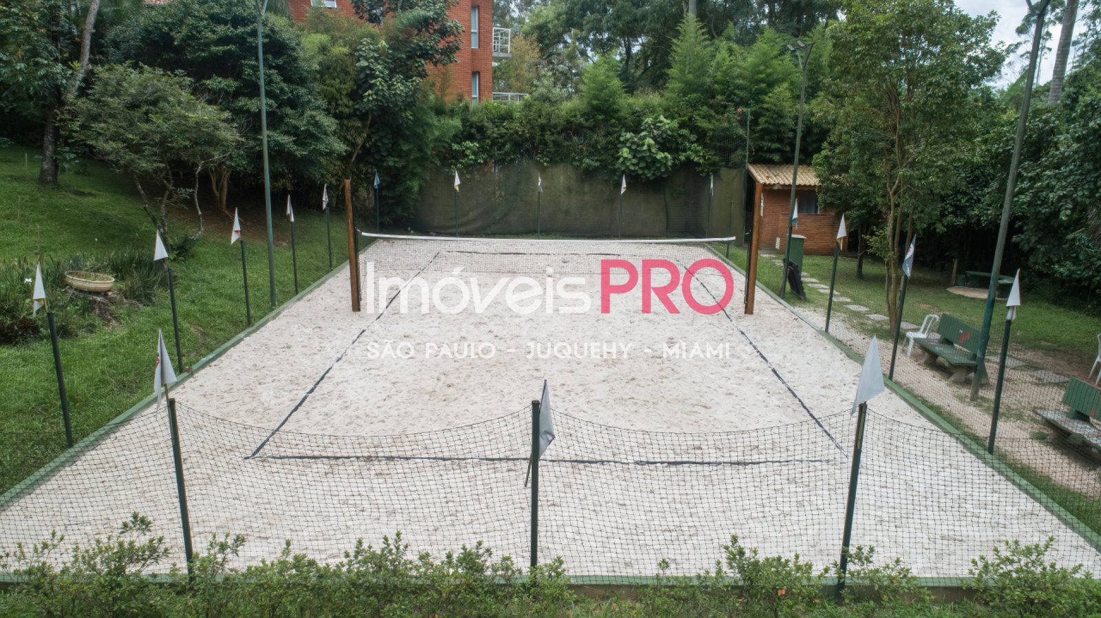 Foto :: IP40335