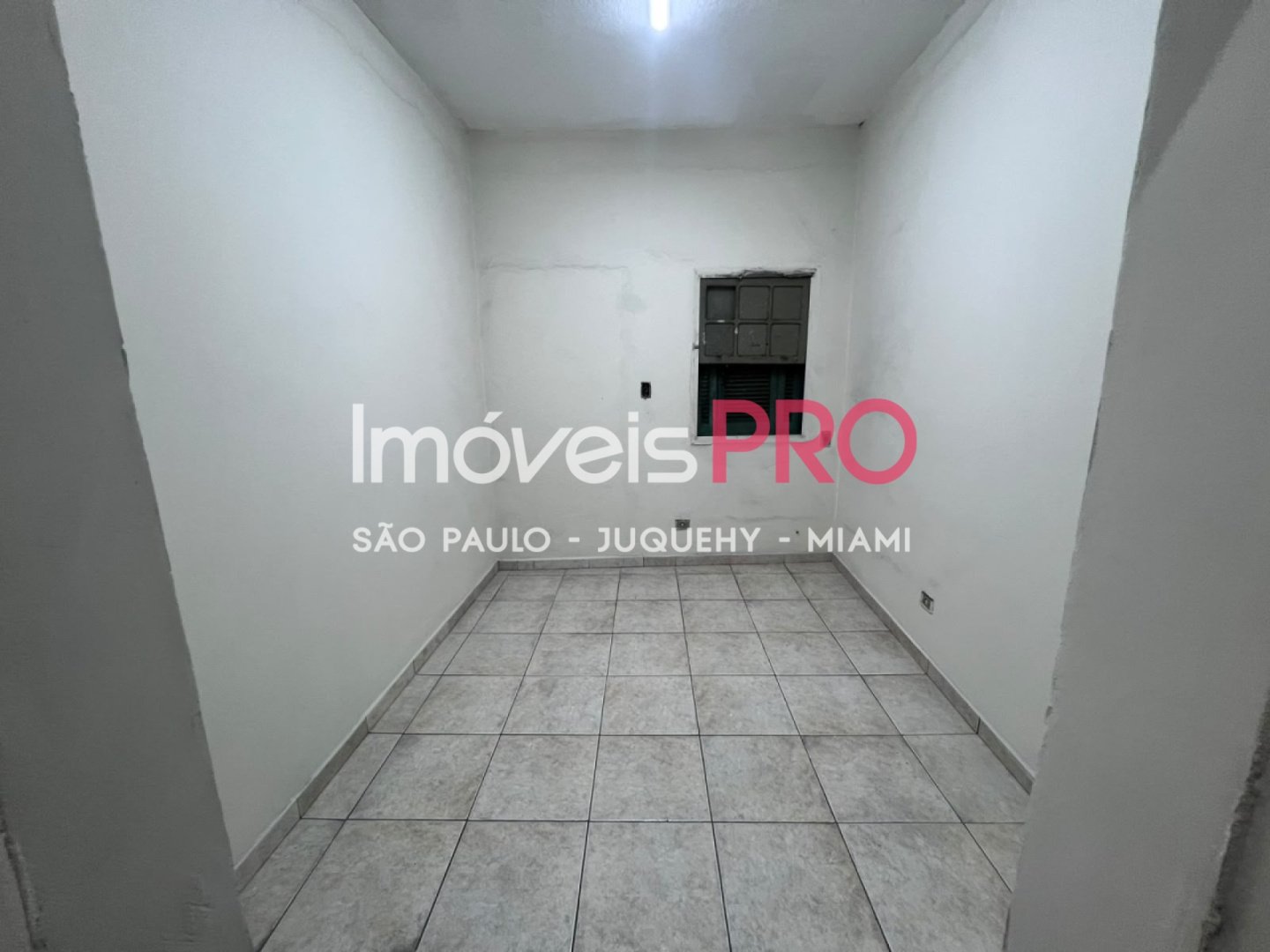 Foto :: IP40339