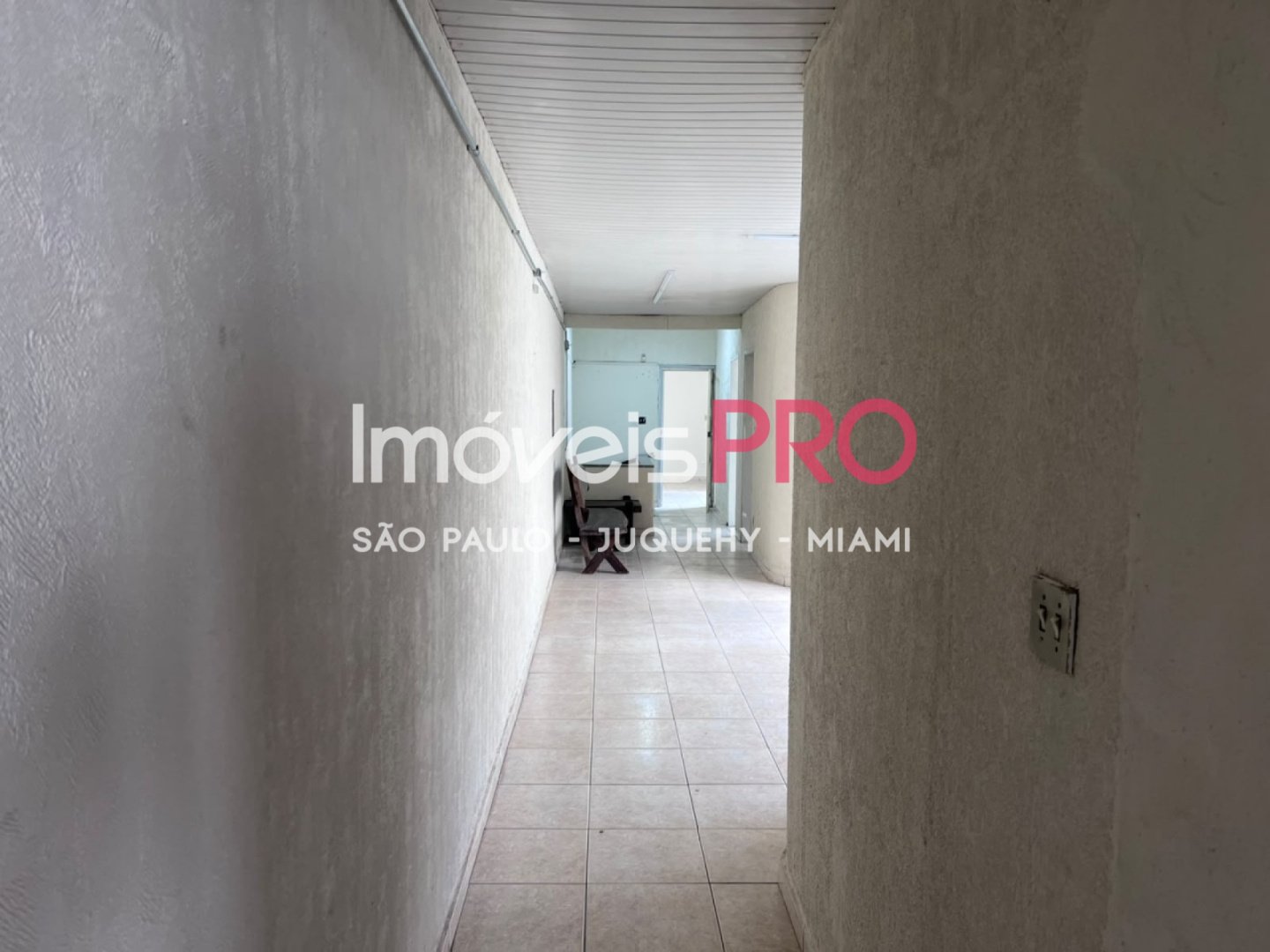 Foto :: IP40339