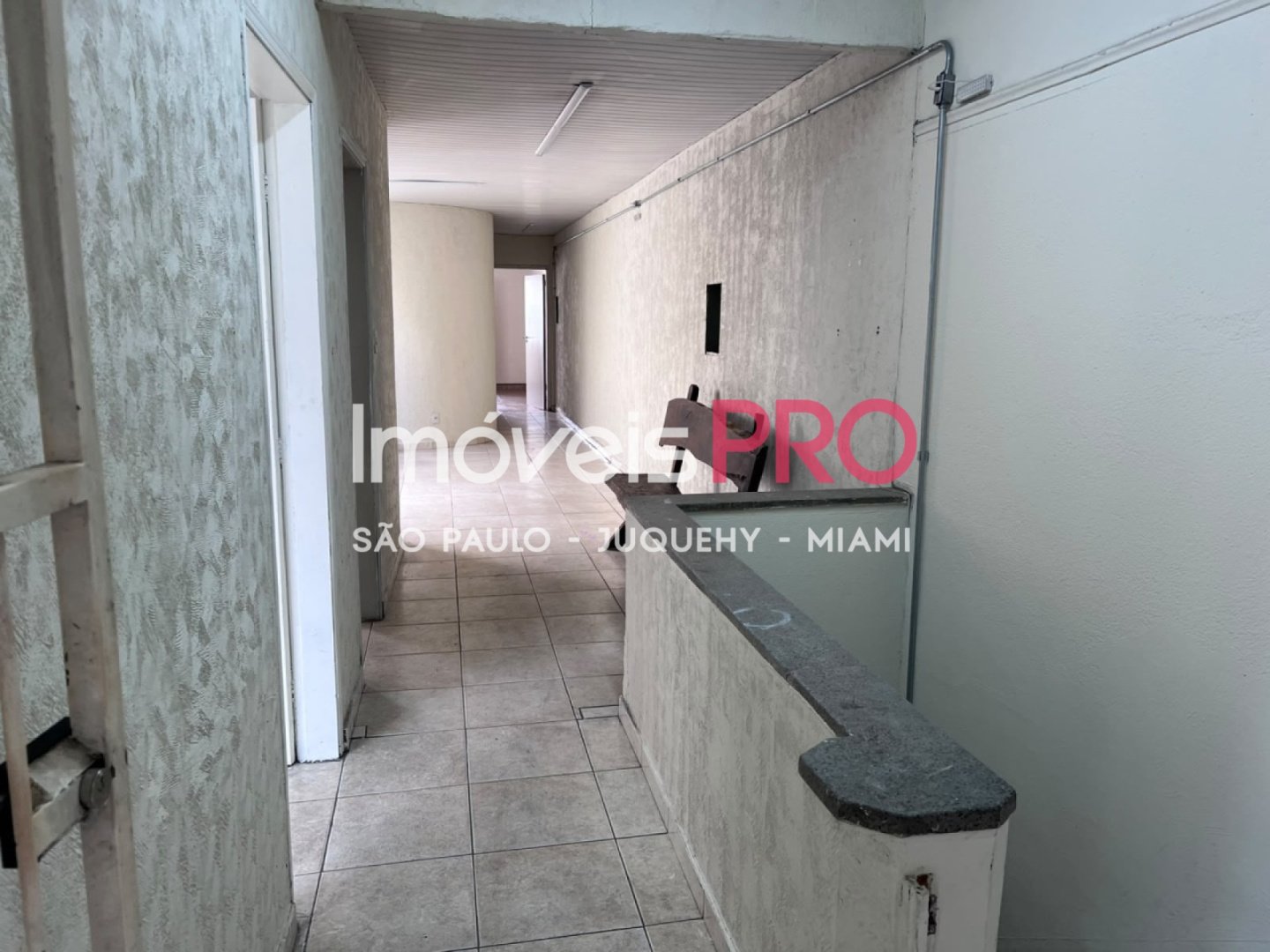 Foto :: IP40339