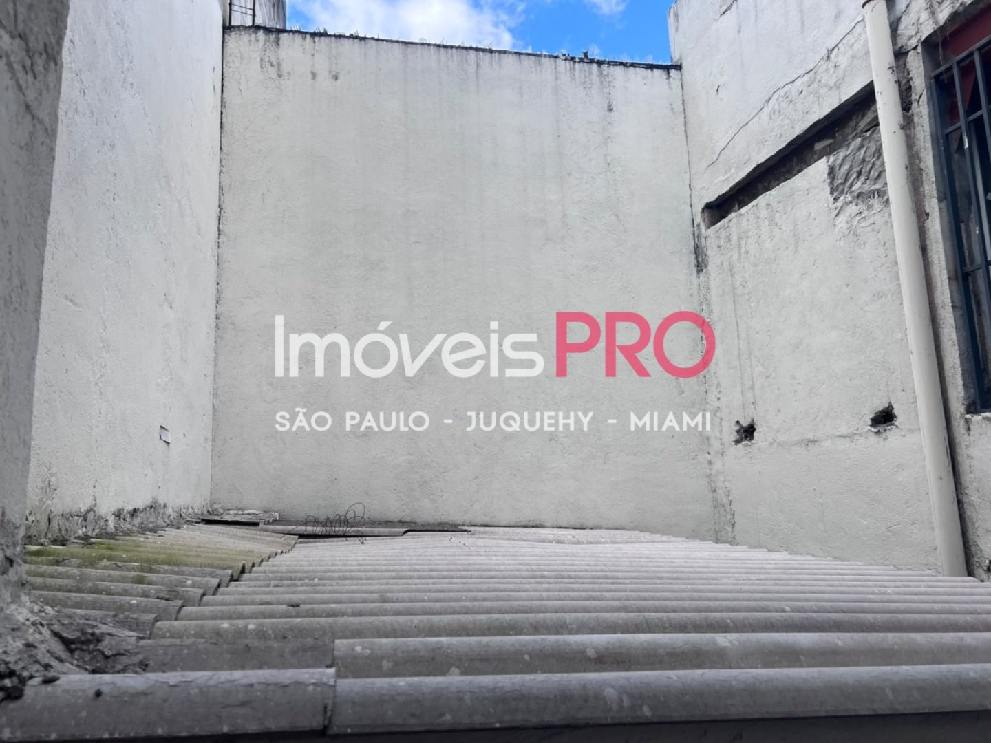 Foto :: IP40339