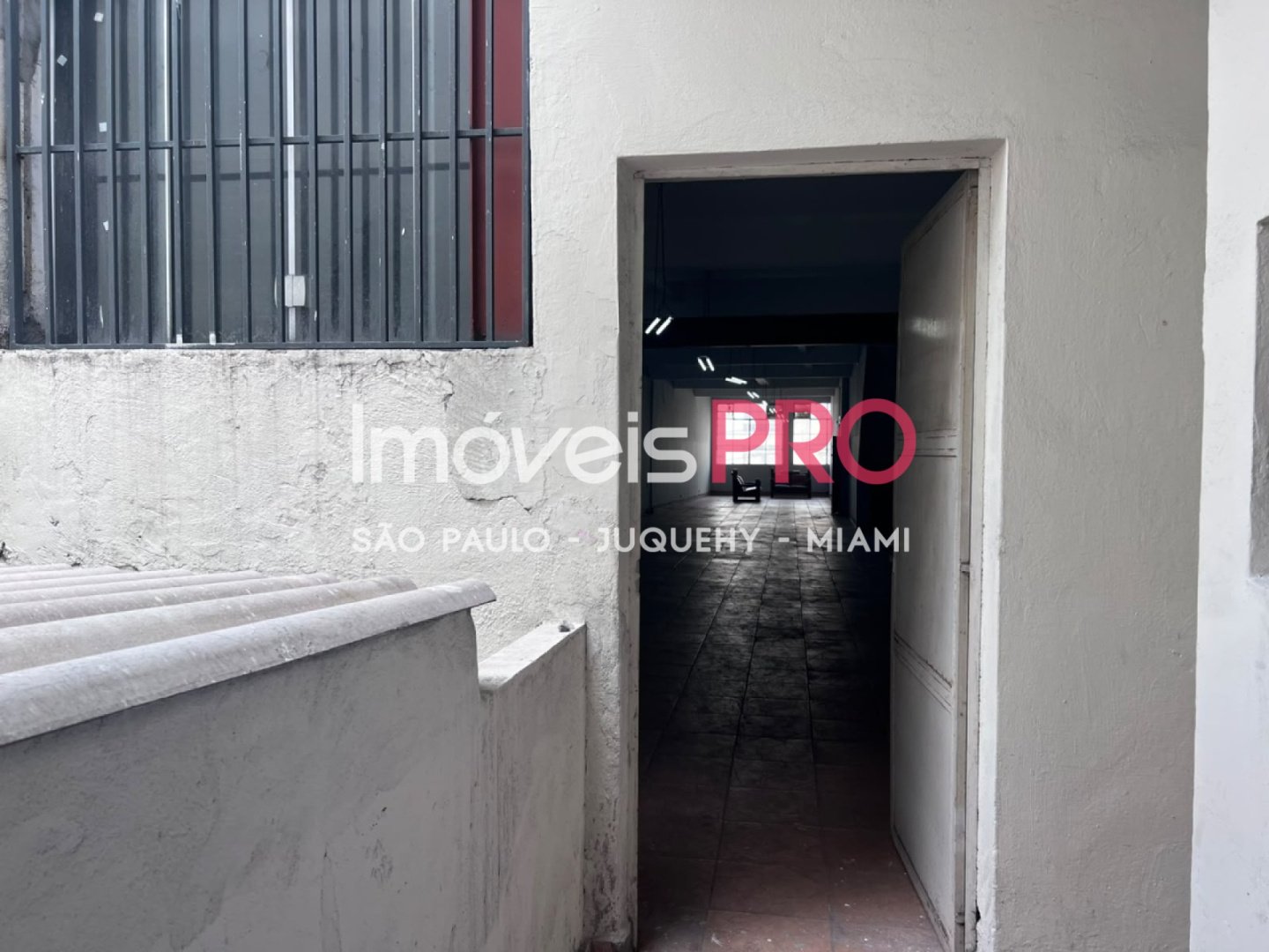 Foto :: IP40339