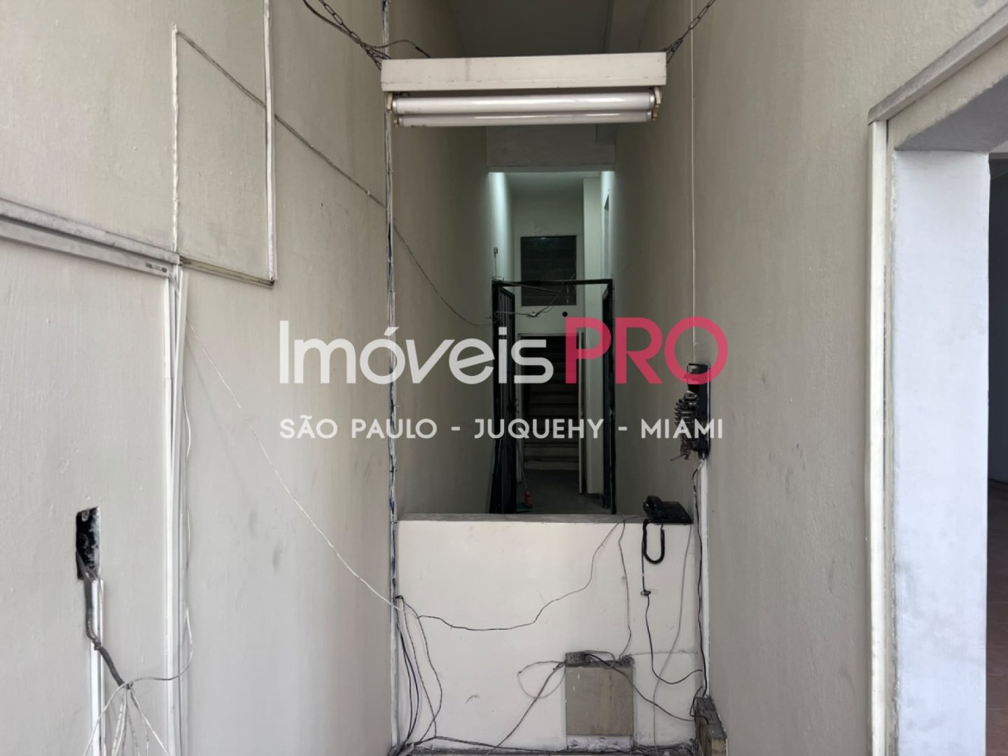 Foto :: IP40339