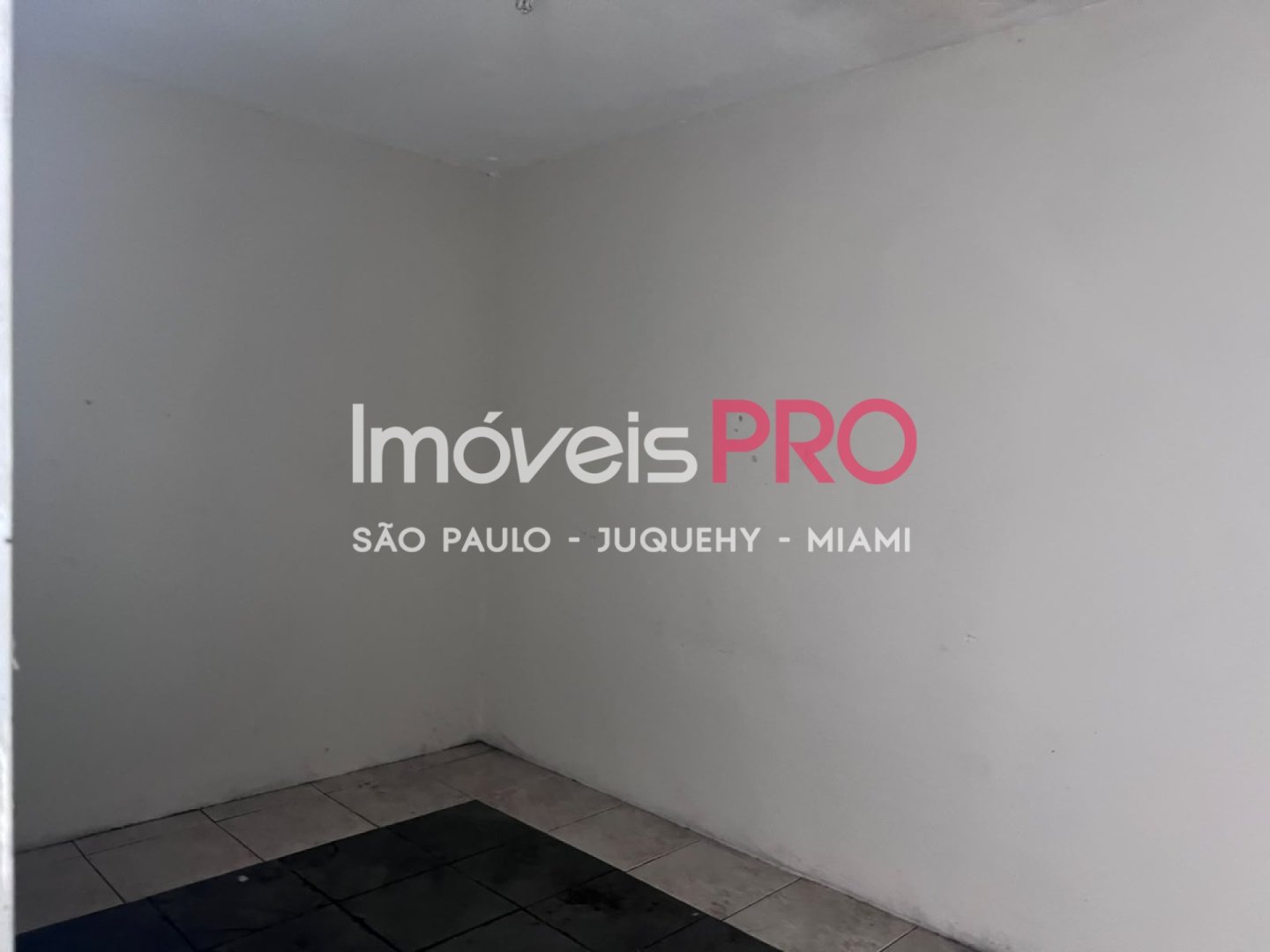 Foto :: IP40339