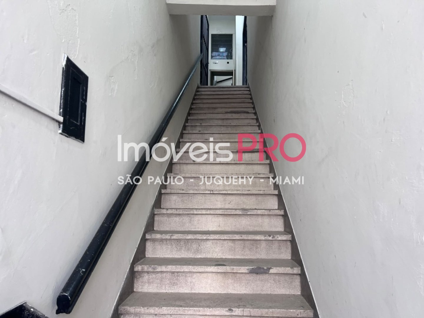 Foto :: IP40339
