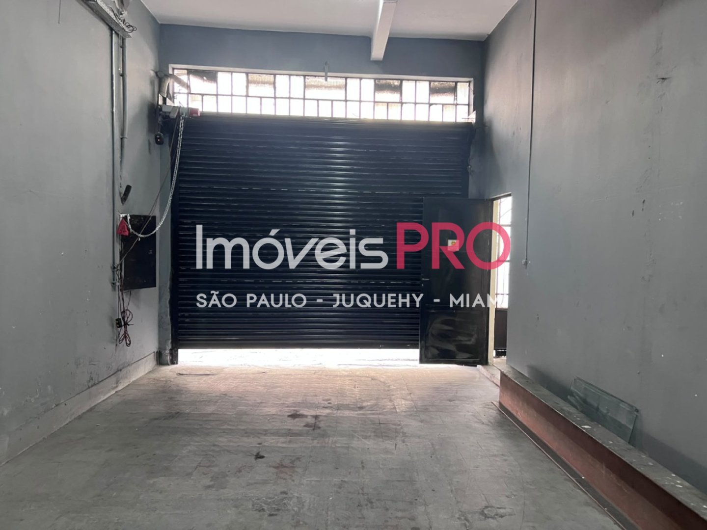 Foto :: IP40339