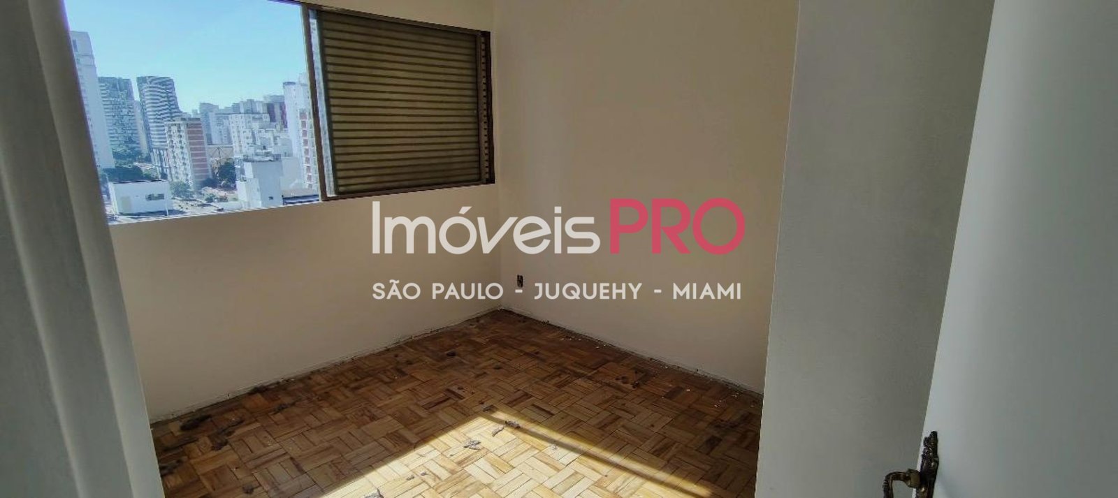 Foto :: IP40342